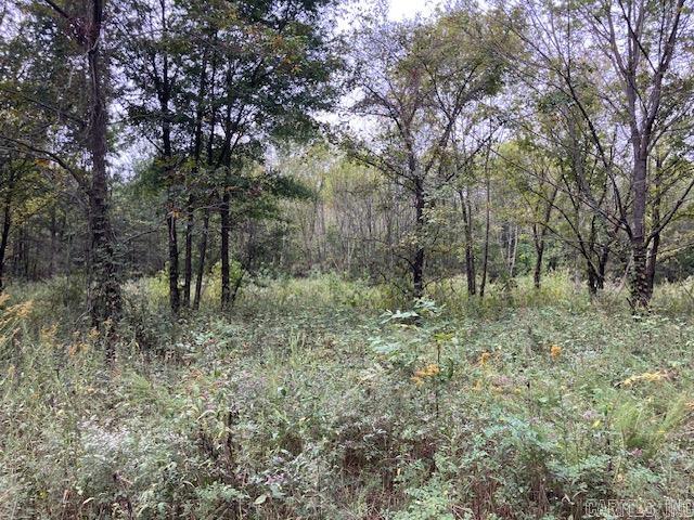  Cox Rd.  Pocahontas, AR