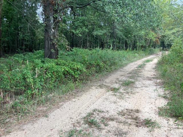  Cox Rd.  Pocahontas, AR