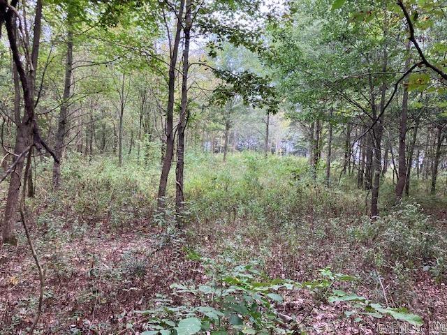  Cox Rd.  Pocahontas, AR