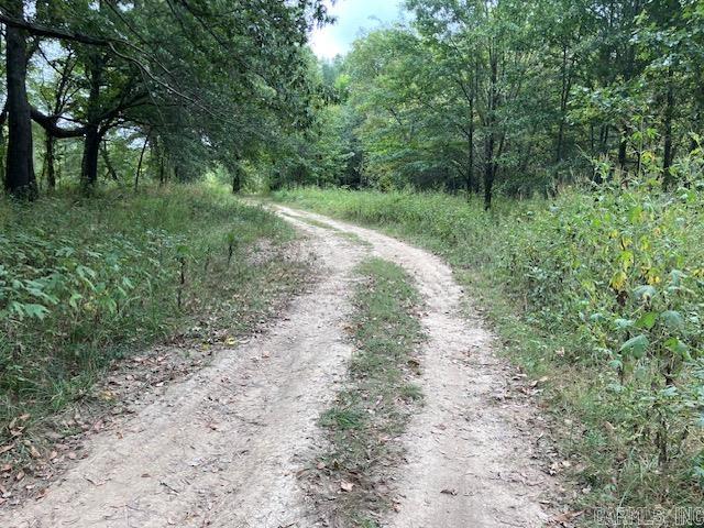 Cox Rd.  Pocahontas, AR