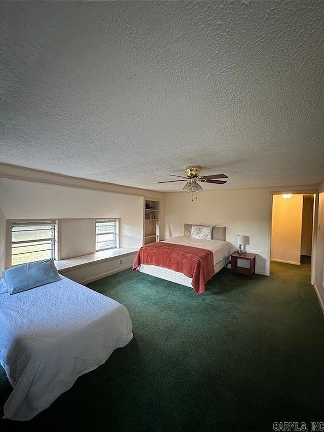 557 PRIVATE ROAD 5028  Oark, AR