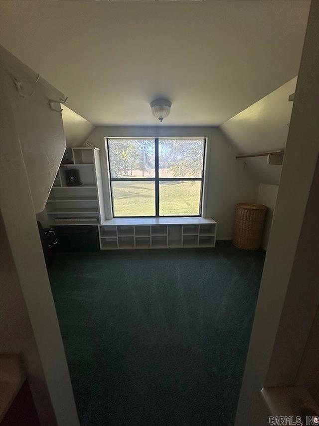 557 PRIVATE ROAD 5028  Oark, AR