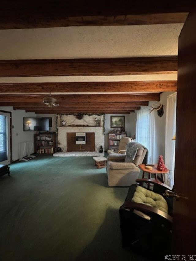 557 PRIVATE ROAD 5028  Oark, AR