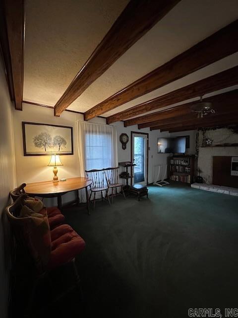 557 PRIVATE ROAD 5028  Oark, AR