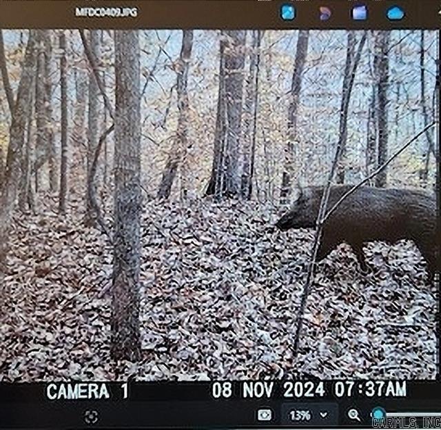 557 PRIVATE ROAD 5028  Oark, AR