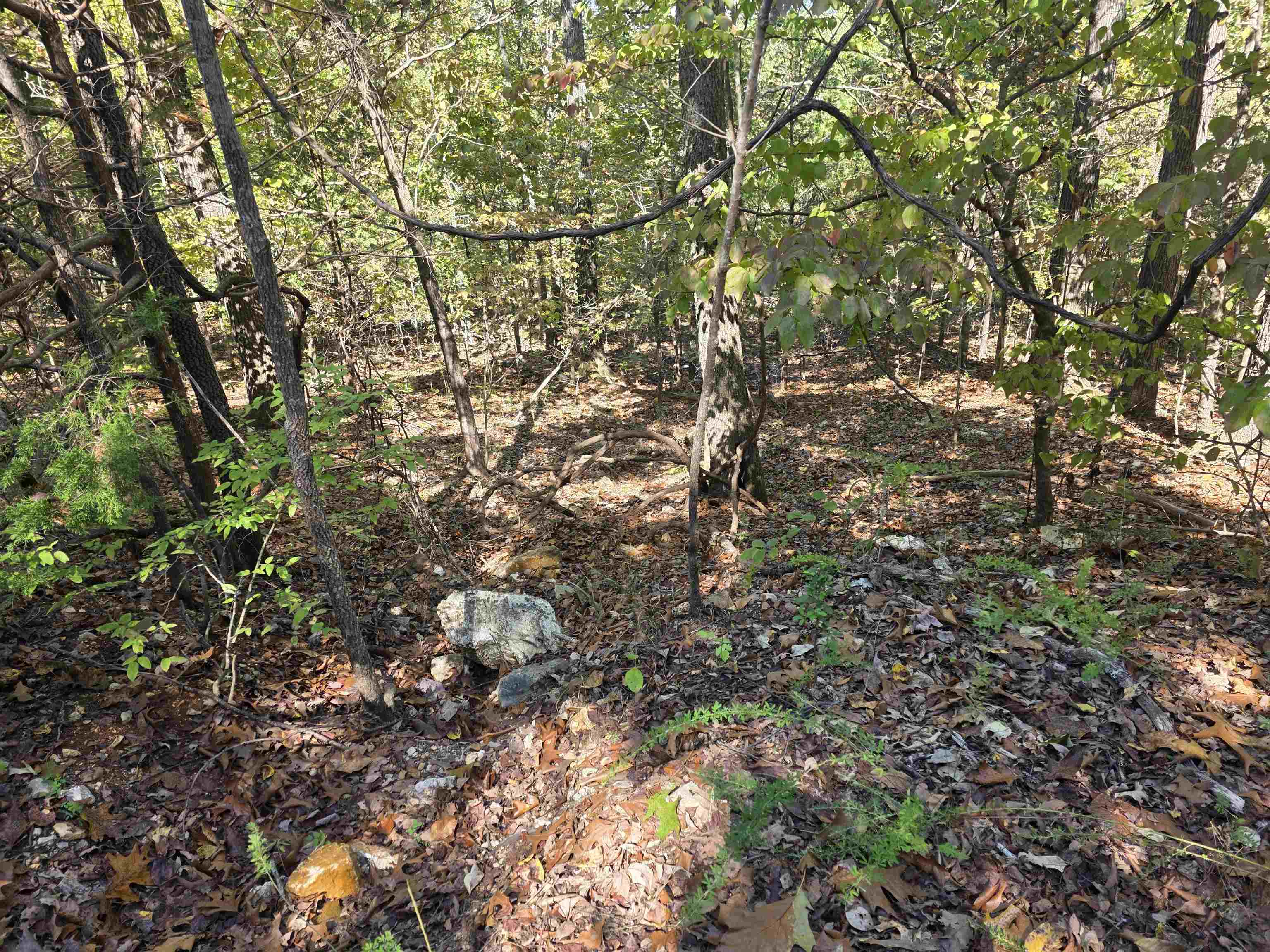 L10B4 Clatsop  Cherokee Village, AR
