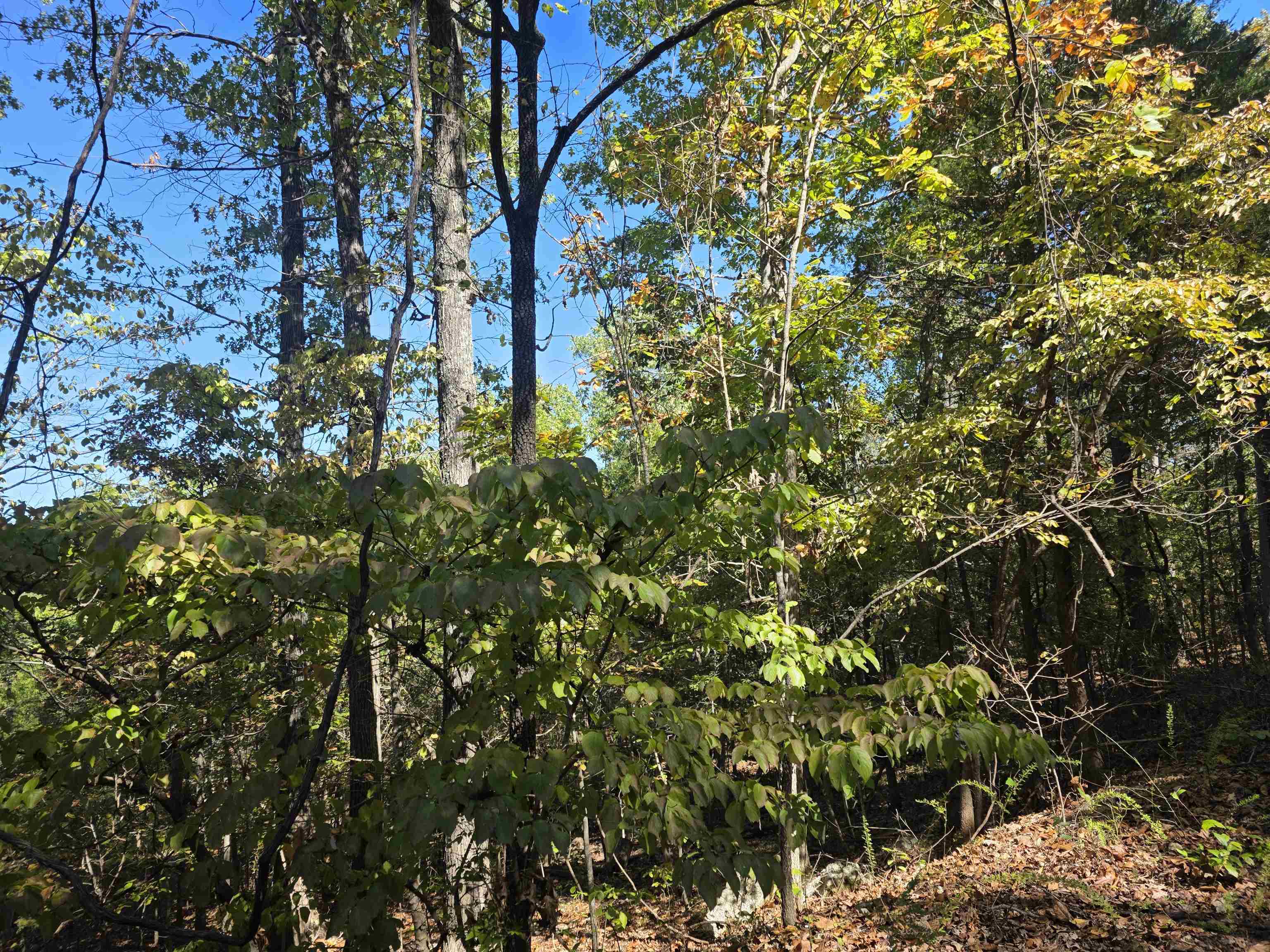 L10B4 Clatsop  Cherokee Village, AR