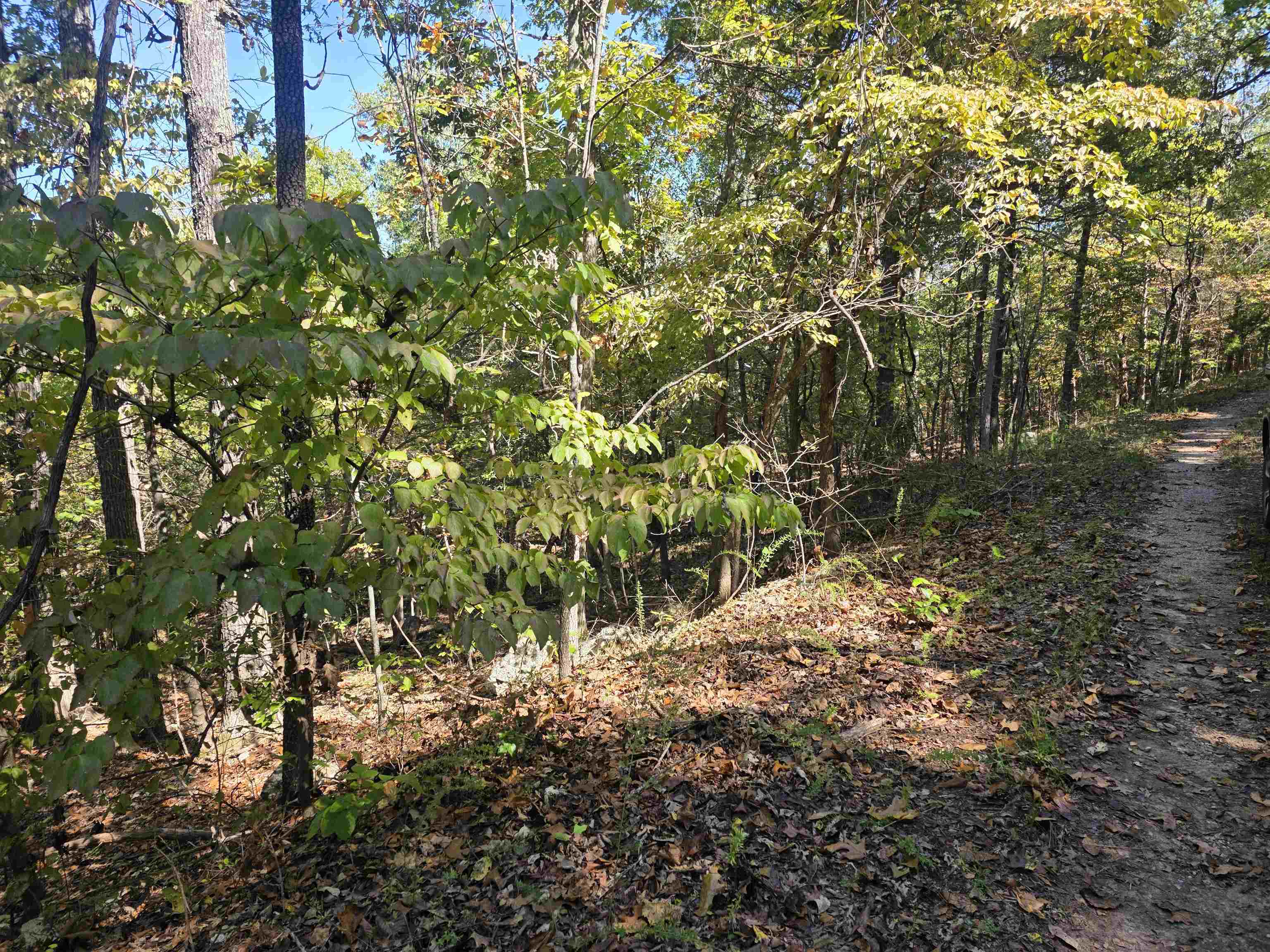 L10B4 Clatsop  Cherokee Village, AR
