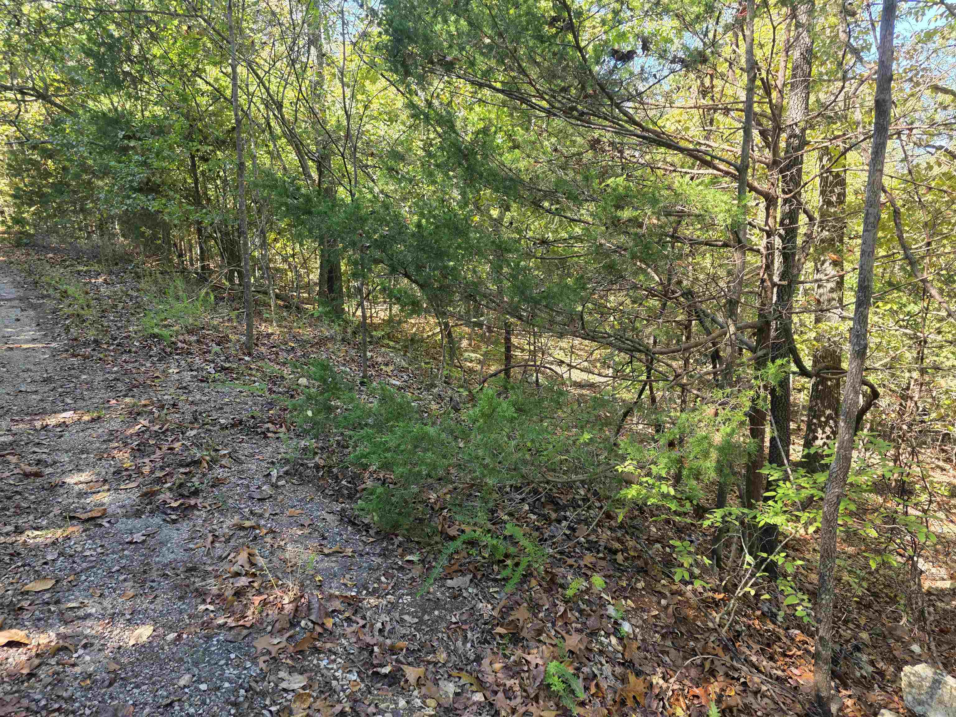 L10B4 Clatsop  Cherokee Village, AR