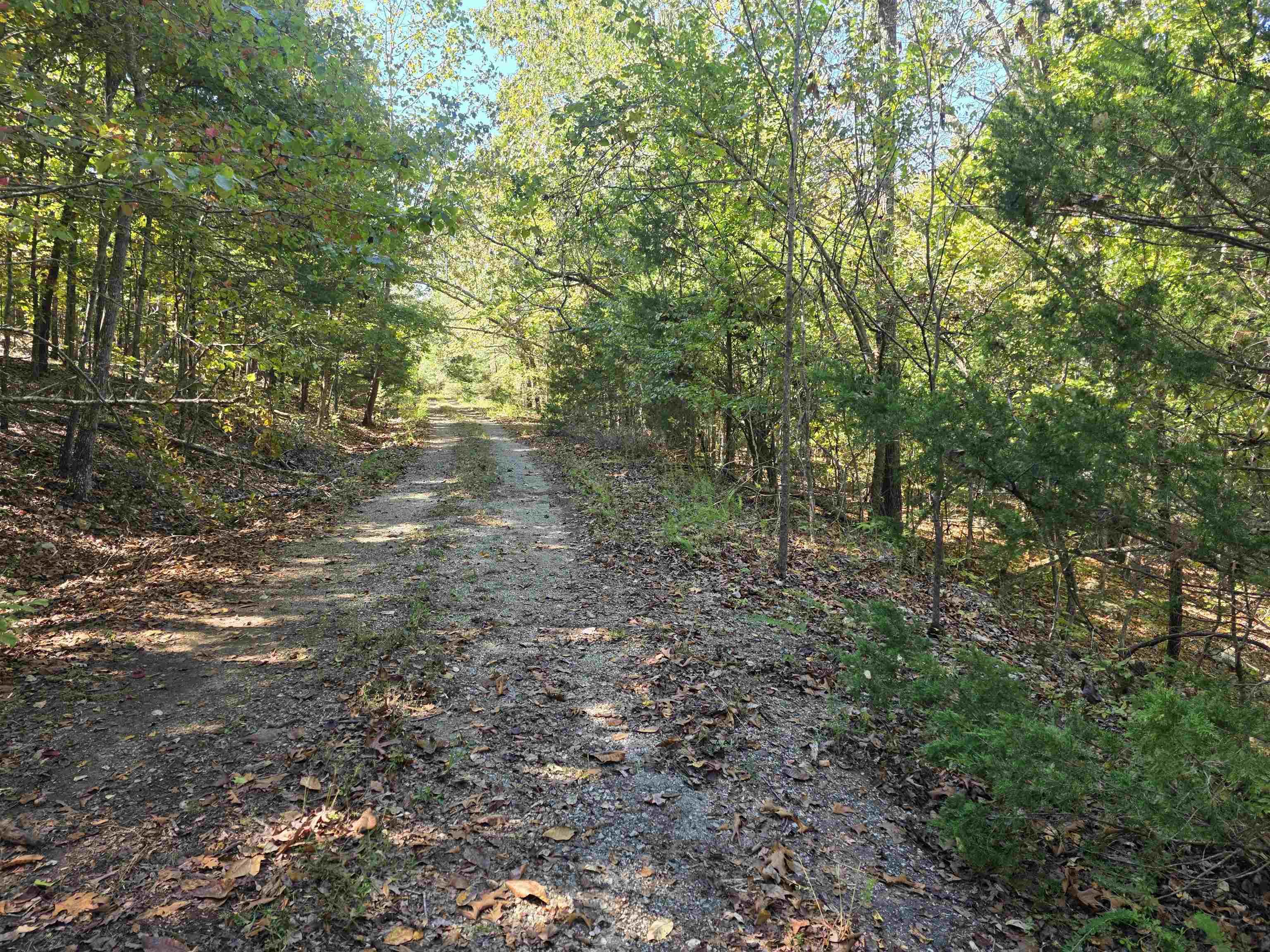 L10B4 Clatsop  Cherokee Village, AR