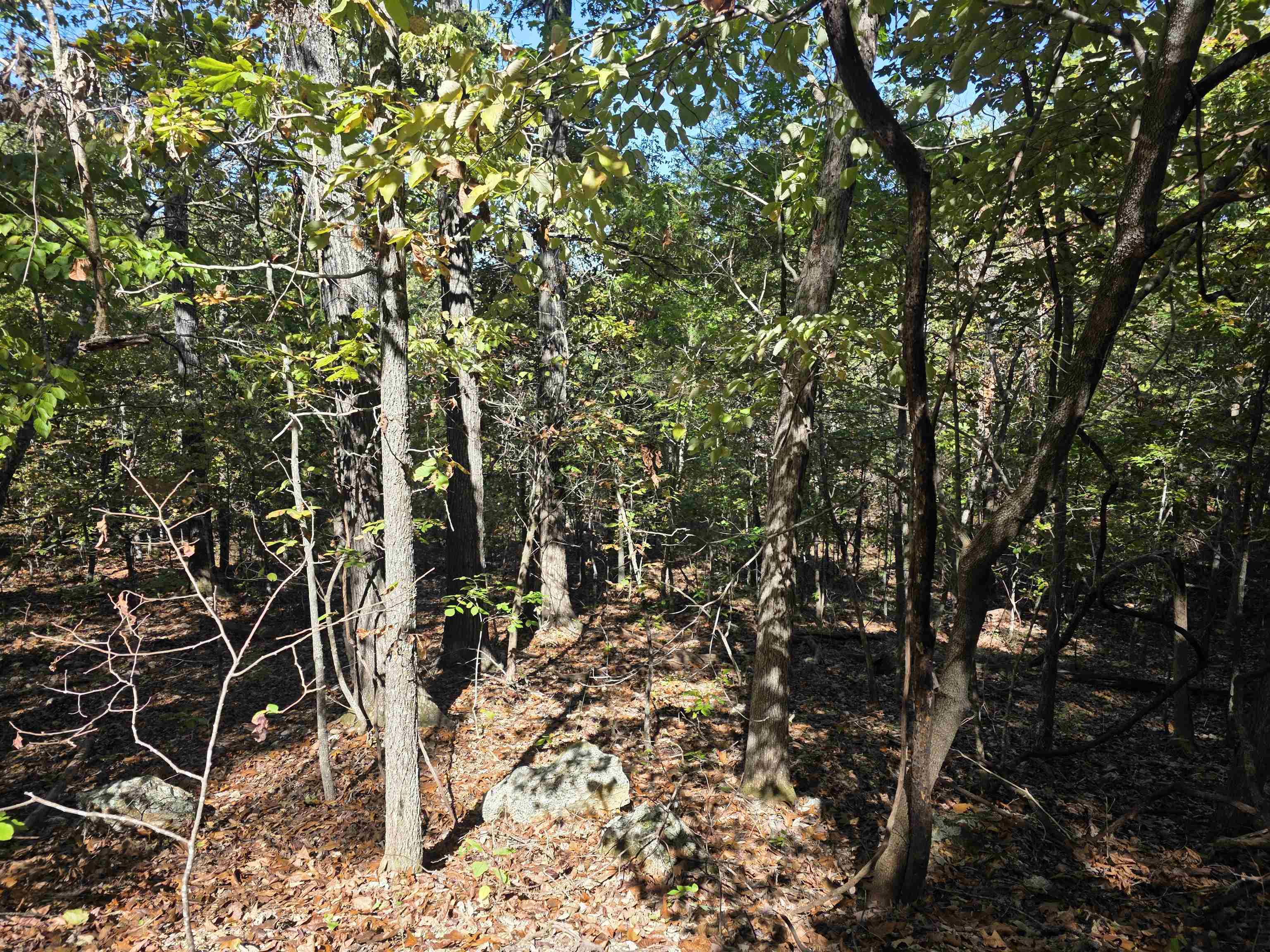 L10B4 Clatsop  Cherokee Village, AR
