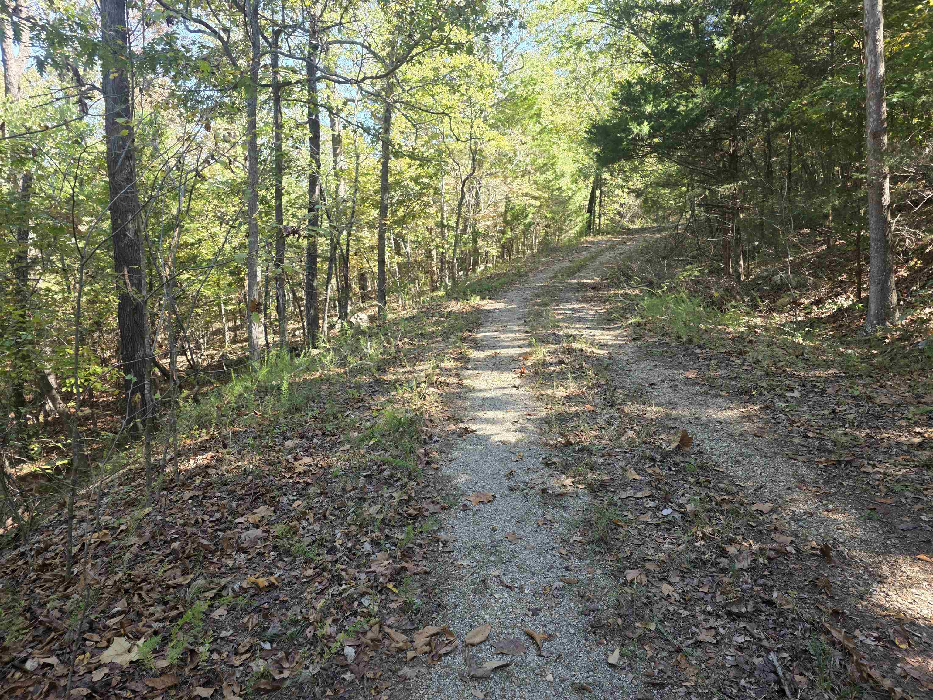 L10B4 Clatsop  Cherokee Village, AR