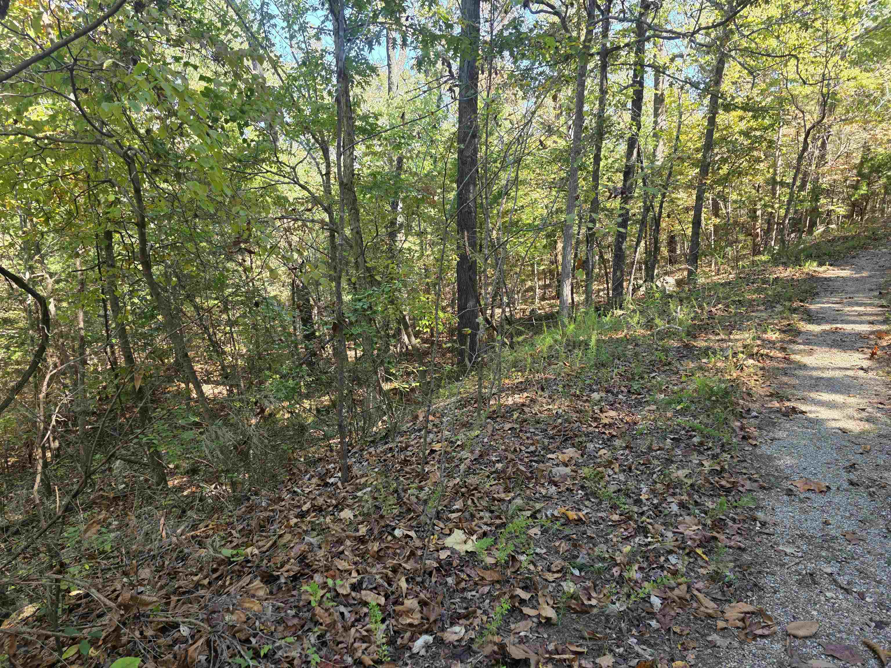 L10B4 Clatsop  Cherokee Village, AR