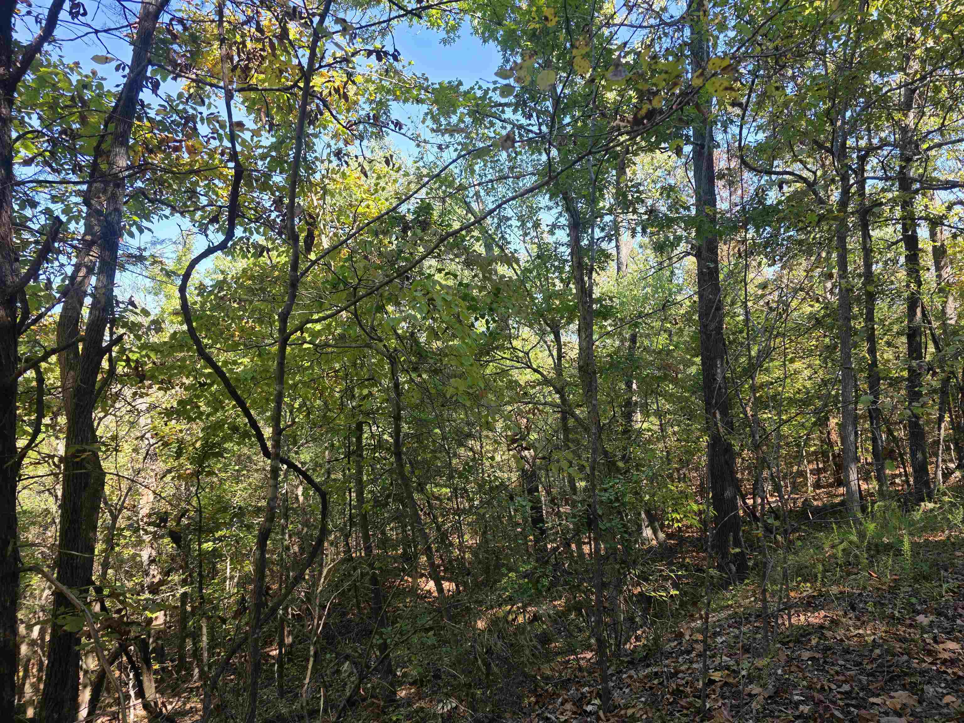 L10B4 Clatsop  Cherokee Village, AR