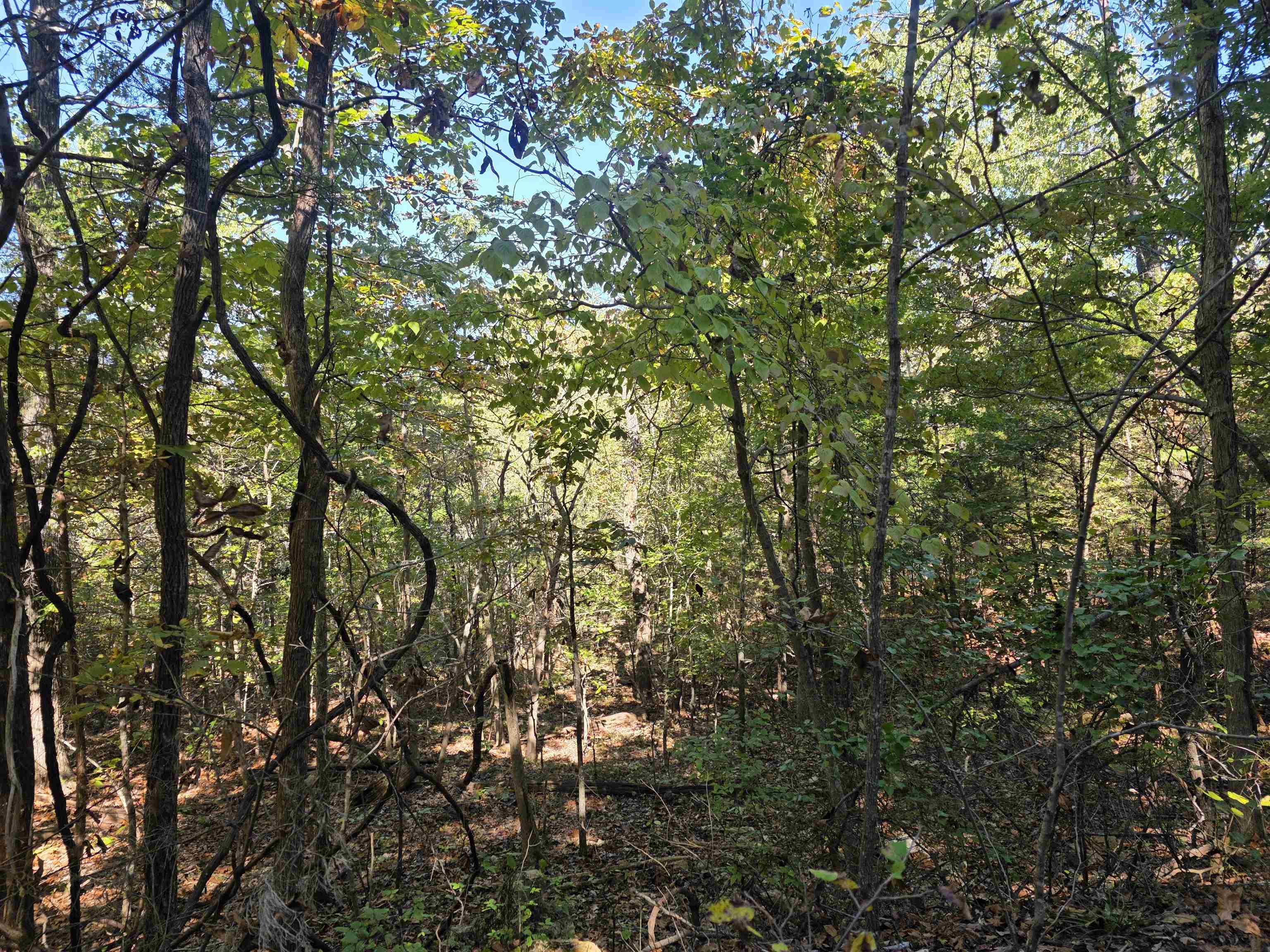 L10B4 Clatsop  Cherokee Village, AR