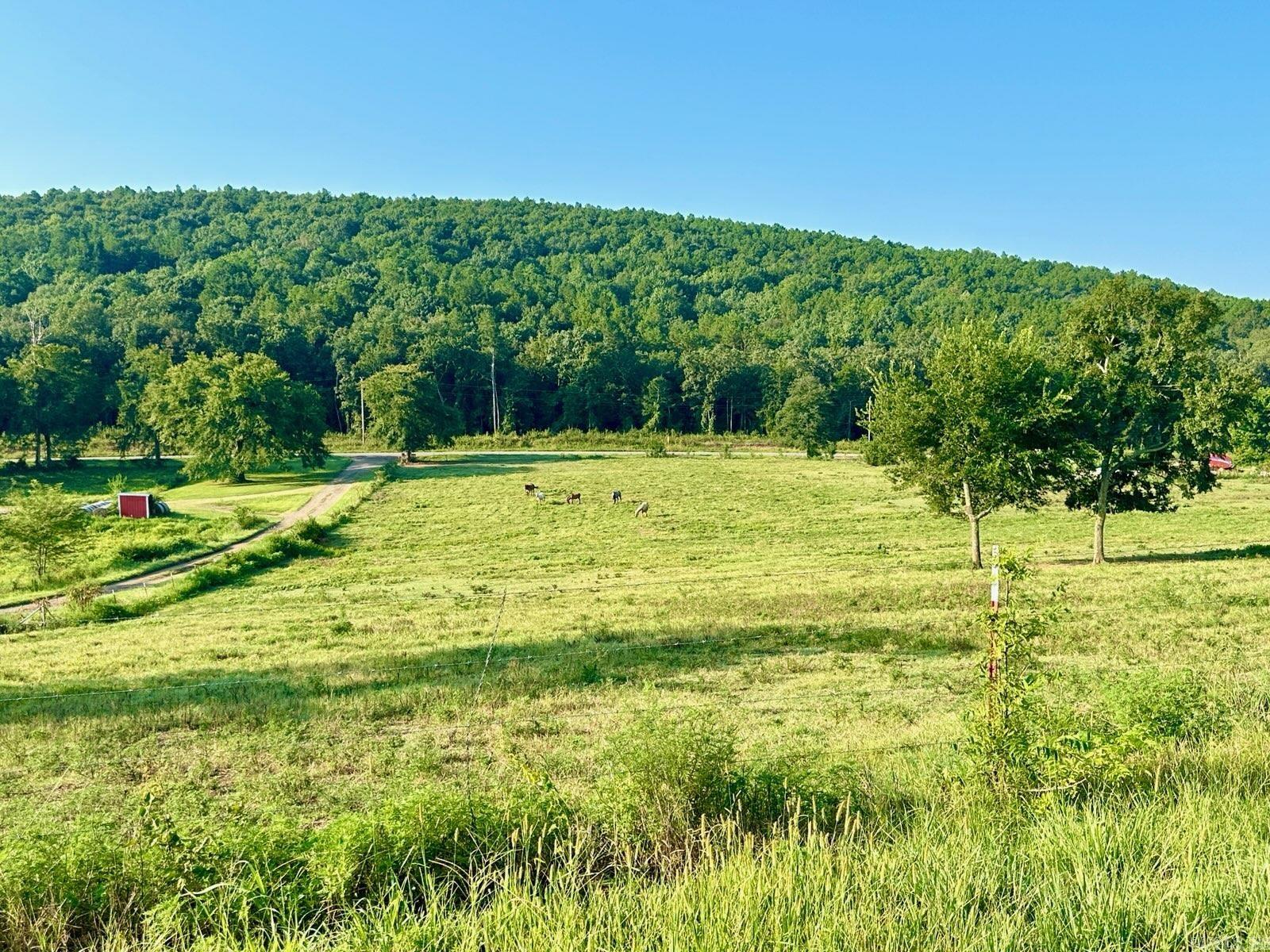 13556 E Hwy 28  Parks, AR