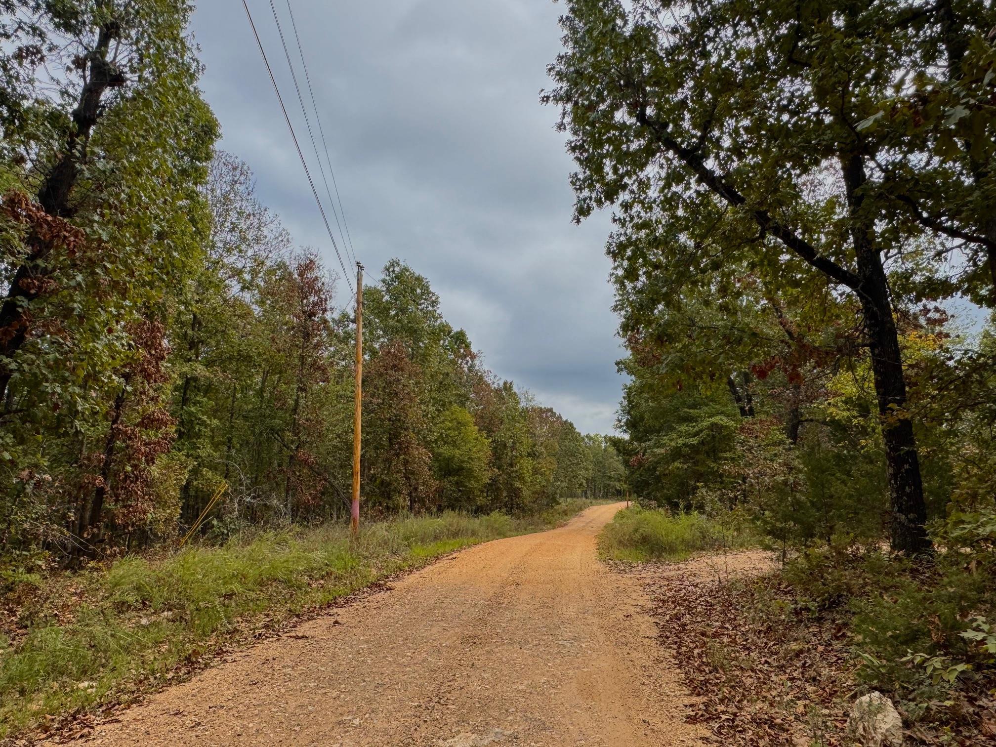 XX Firetower  Hardy, AR