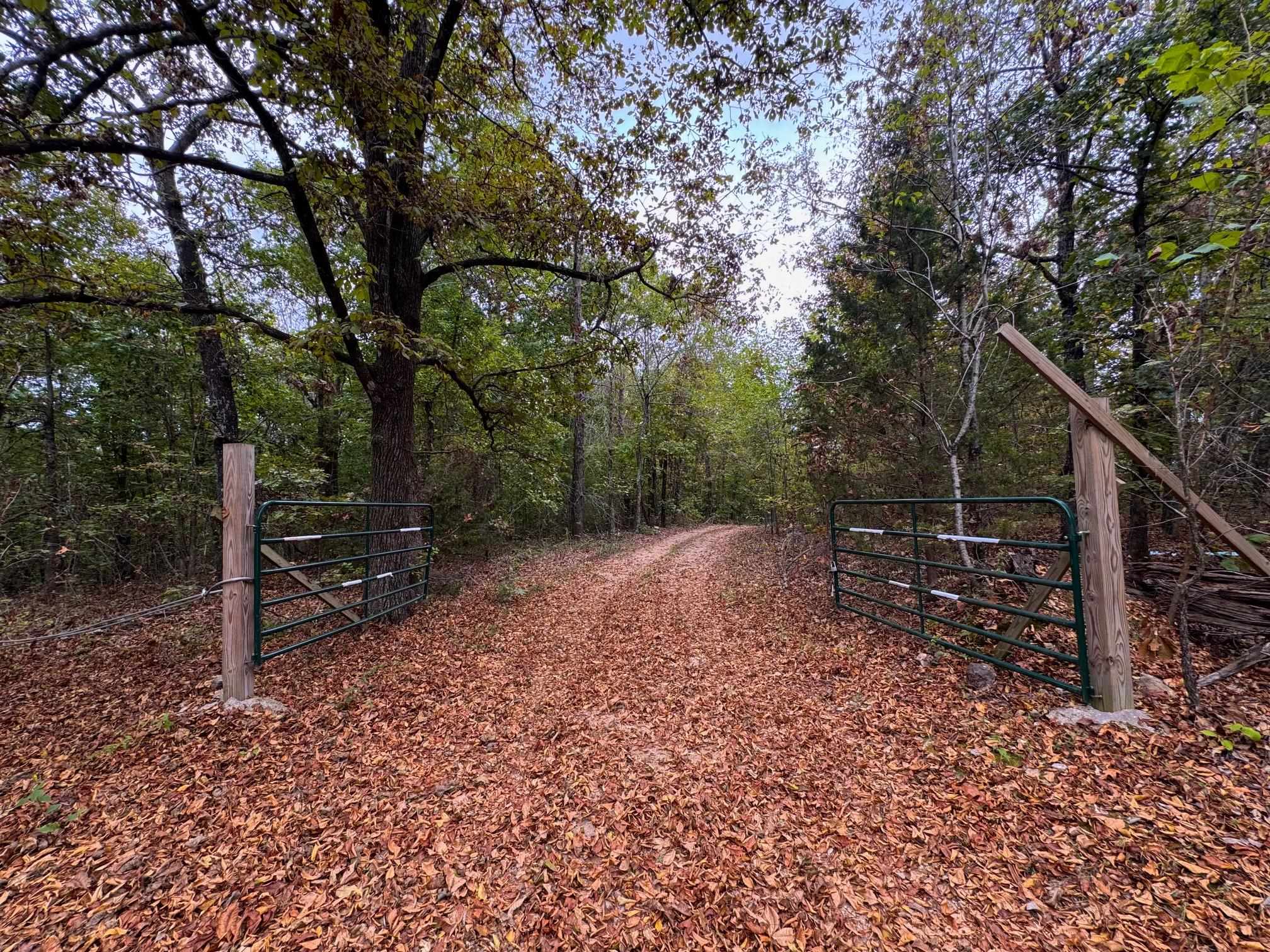 XX Firetower  Hardy, AR