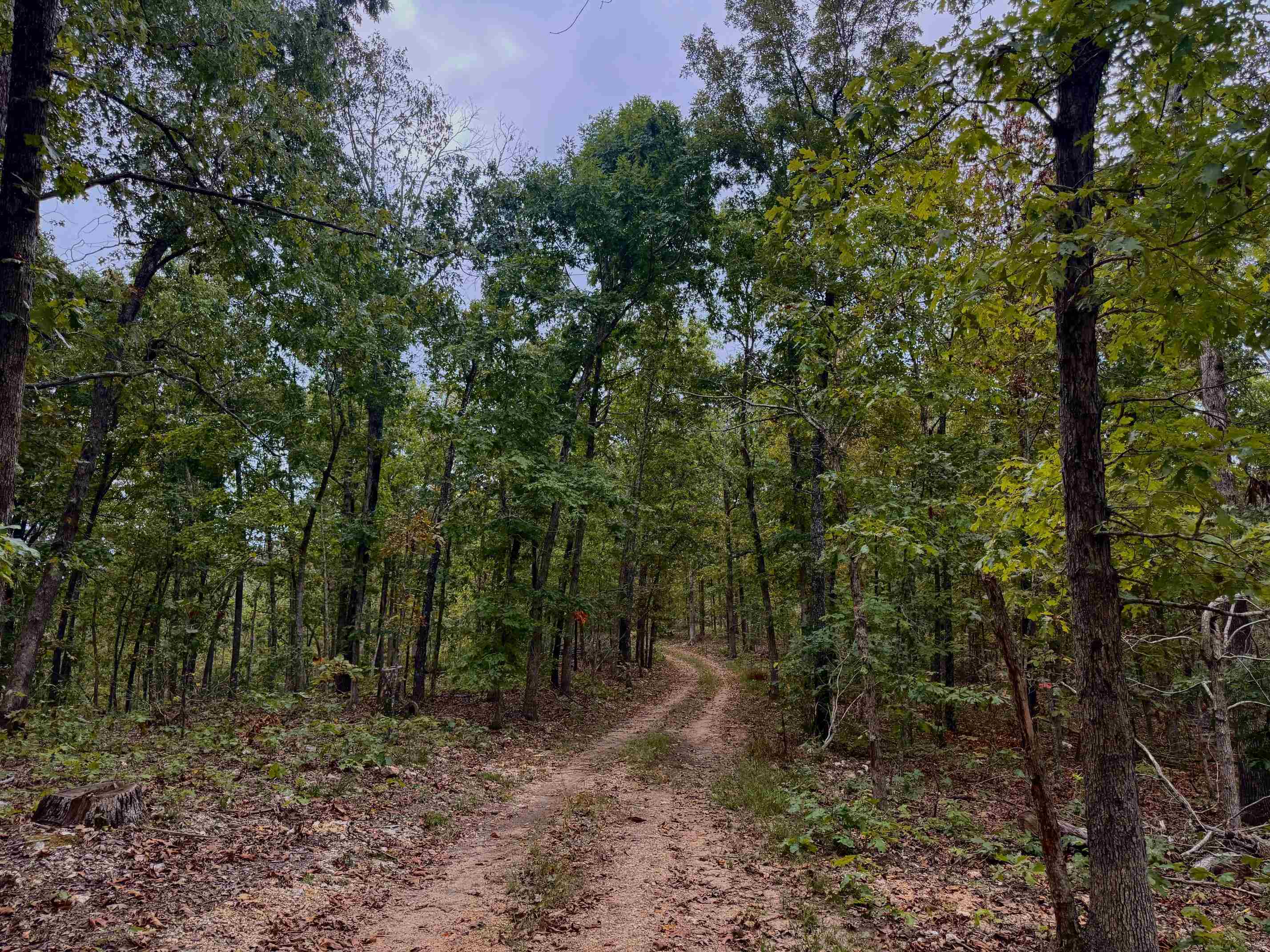 XX Firetower  Hardy, AR