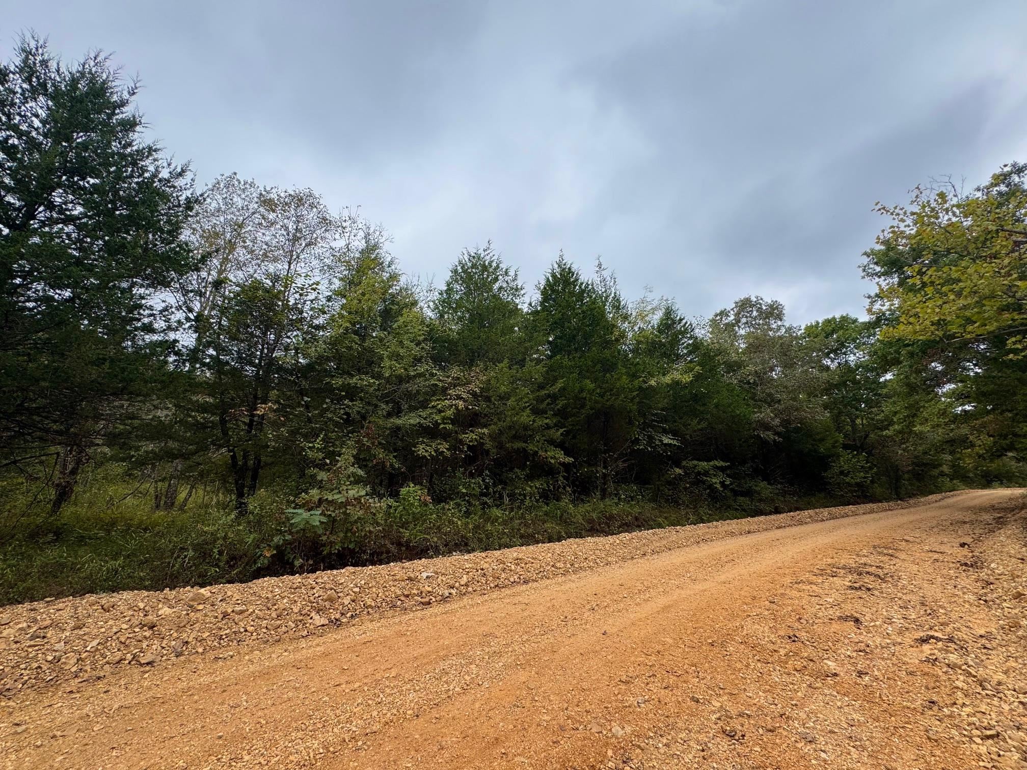 XX Firetower  Hardy, AR