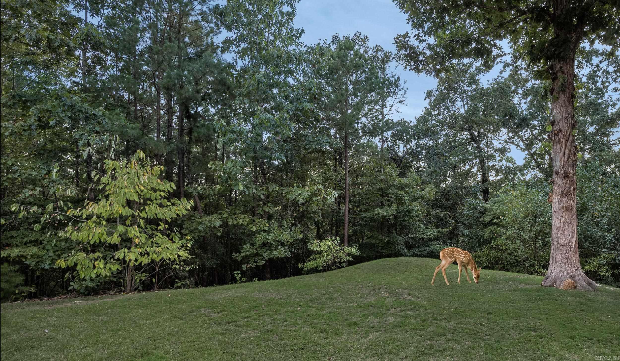 225 Red Hawk  Paron, AR