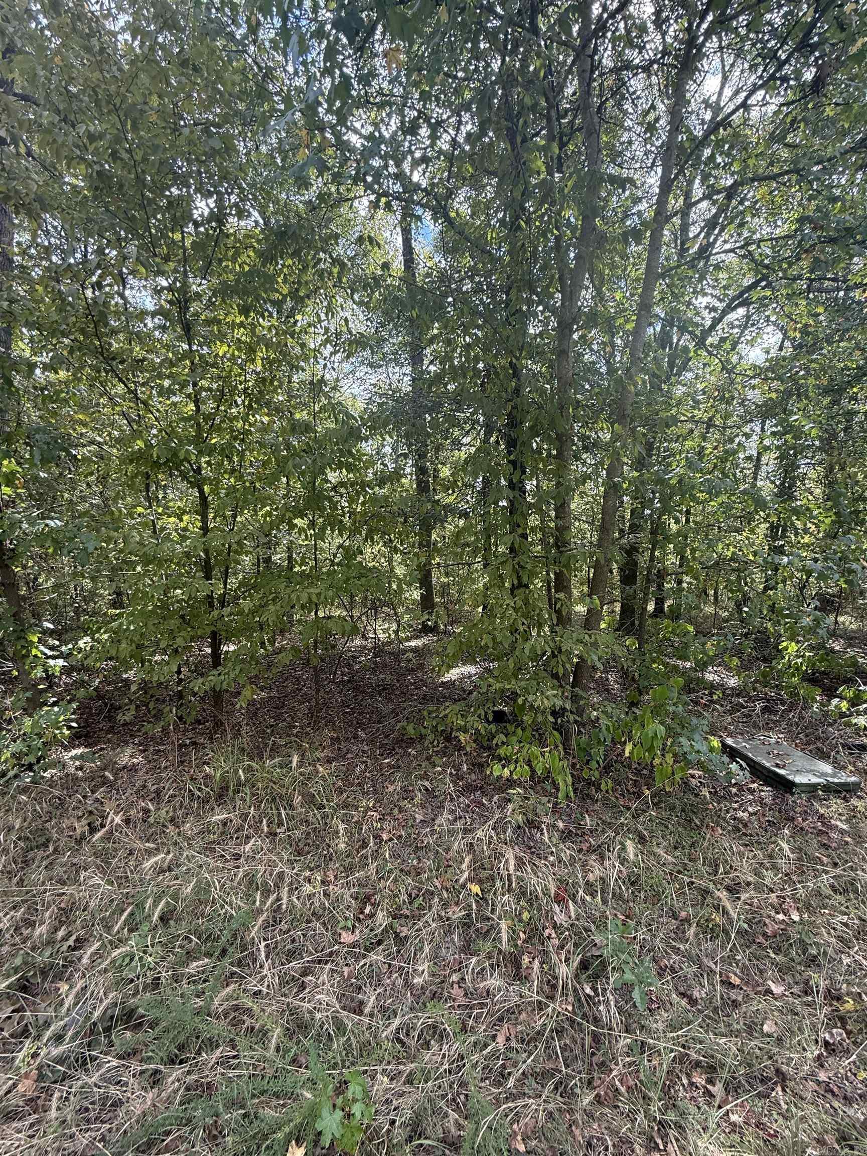 Lot 39 Fox Run  Malvern, AR