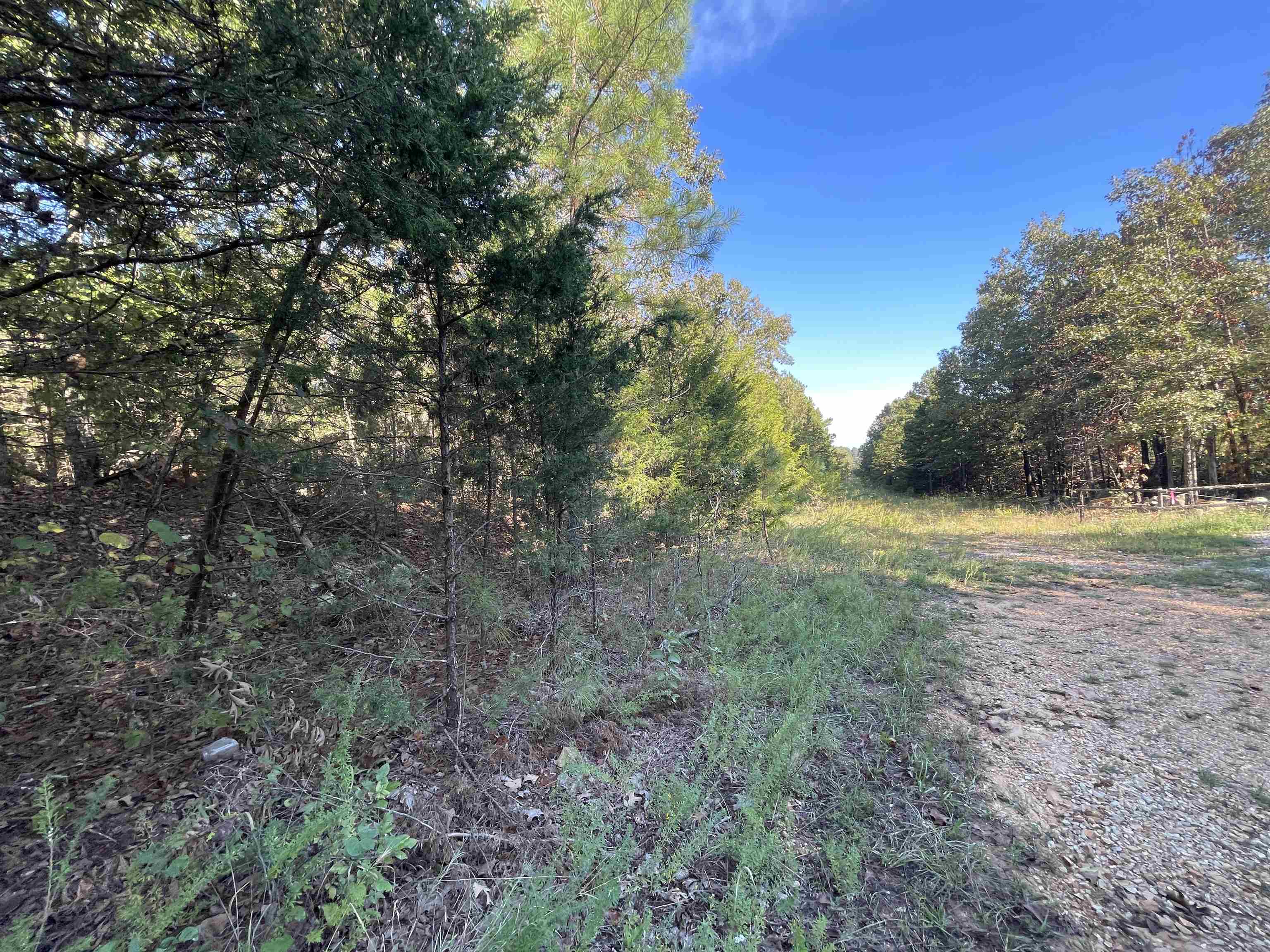 0 Piney Ridge  Glencoe, AR