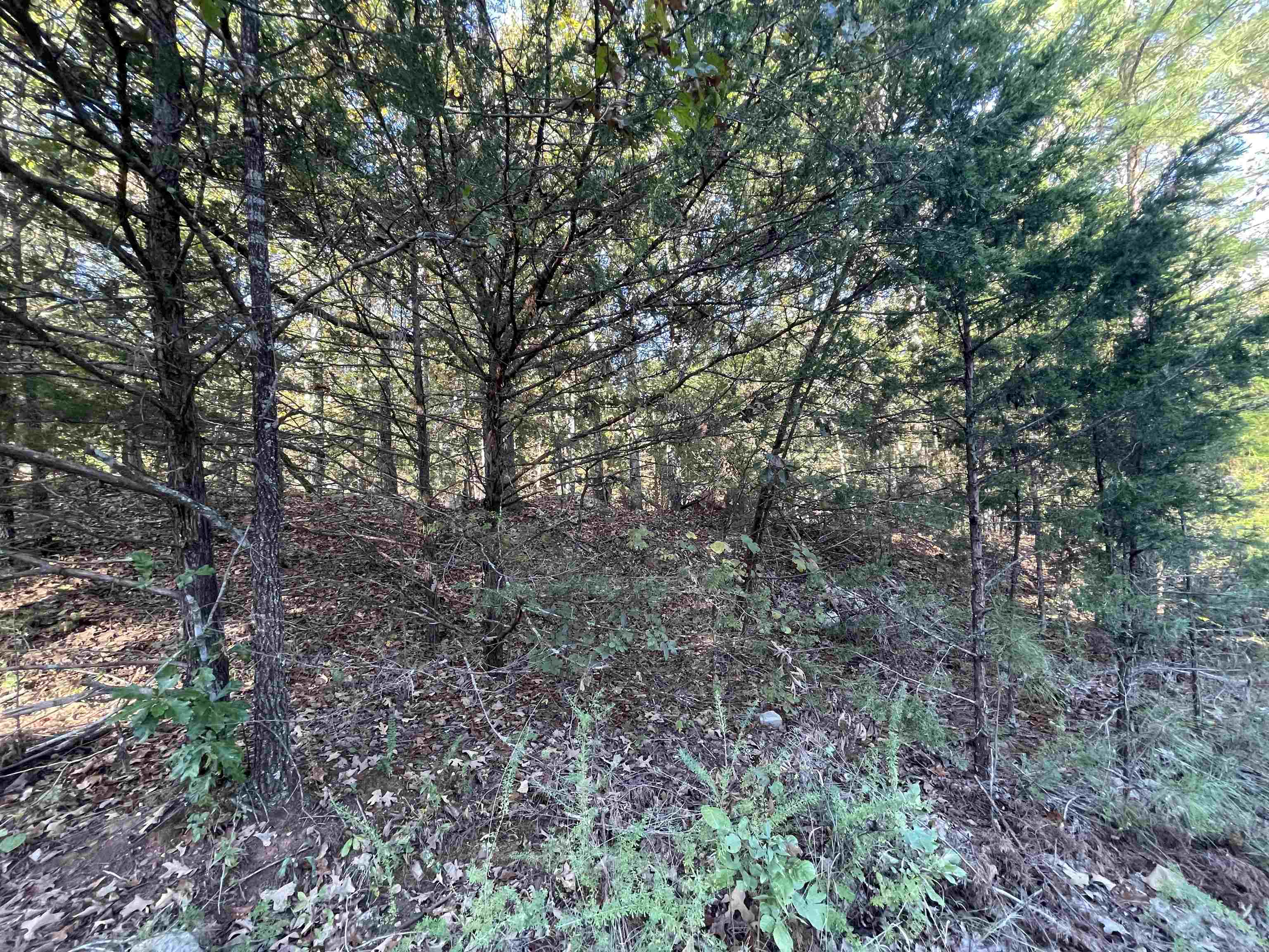 0 Piney Ridge  Glencoe, AR