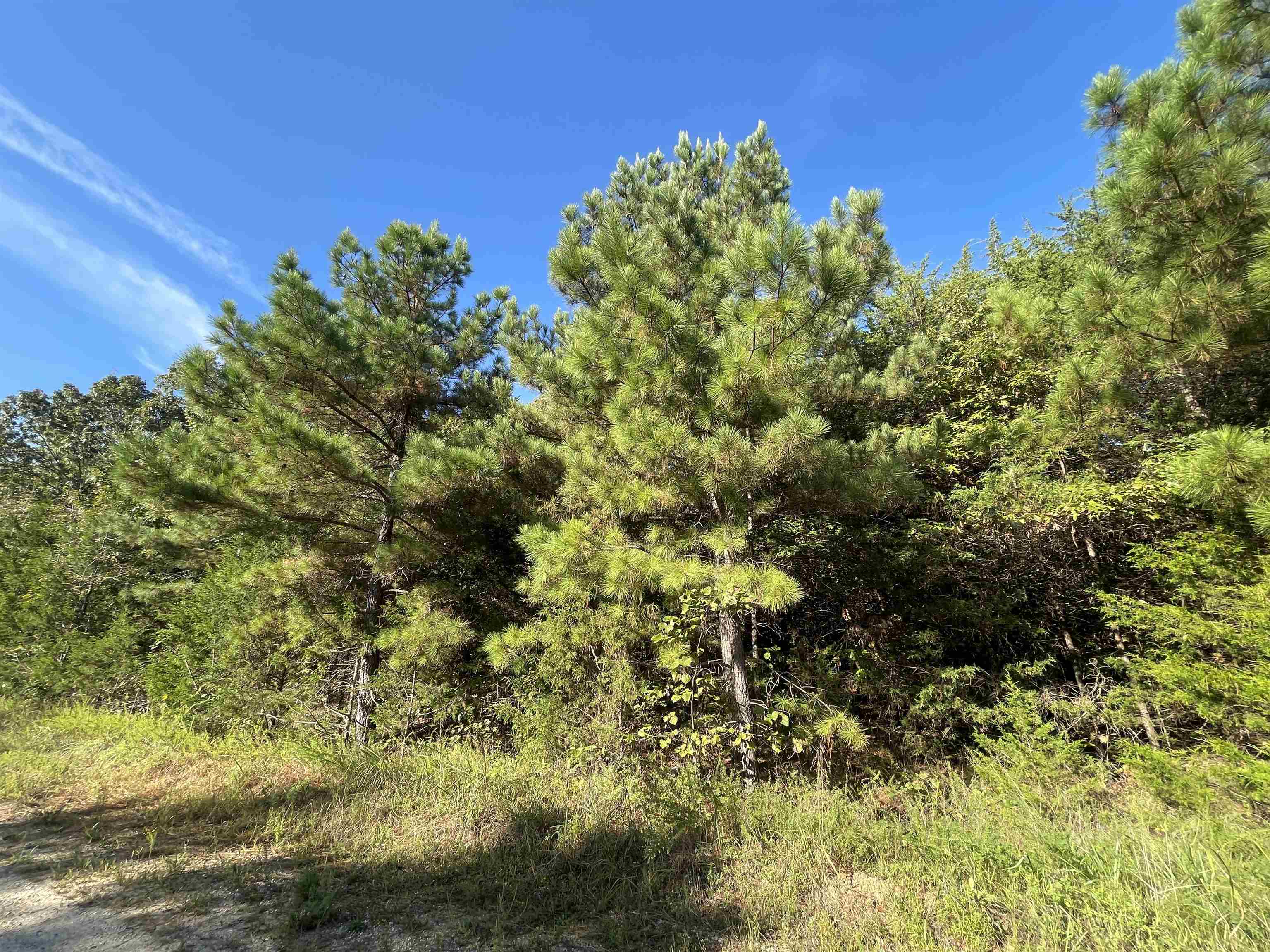 0 Piney Ridge  Glencoe, AR