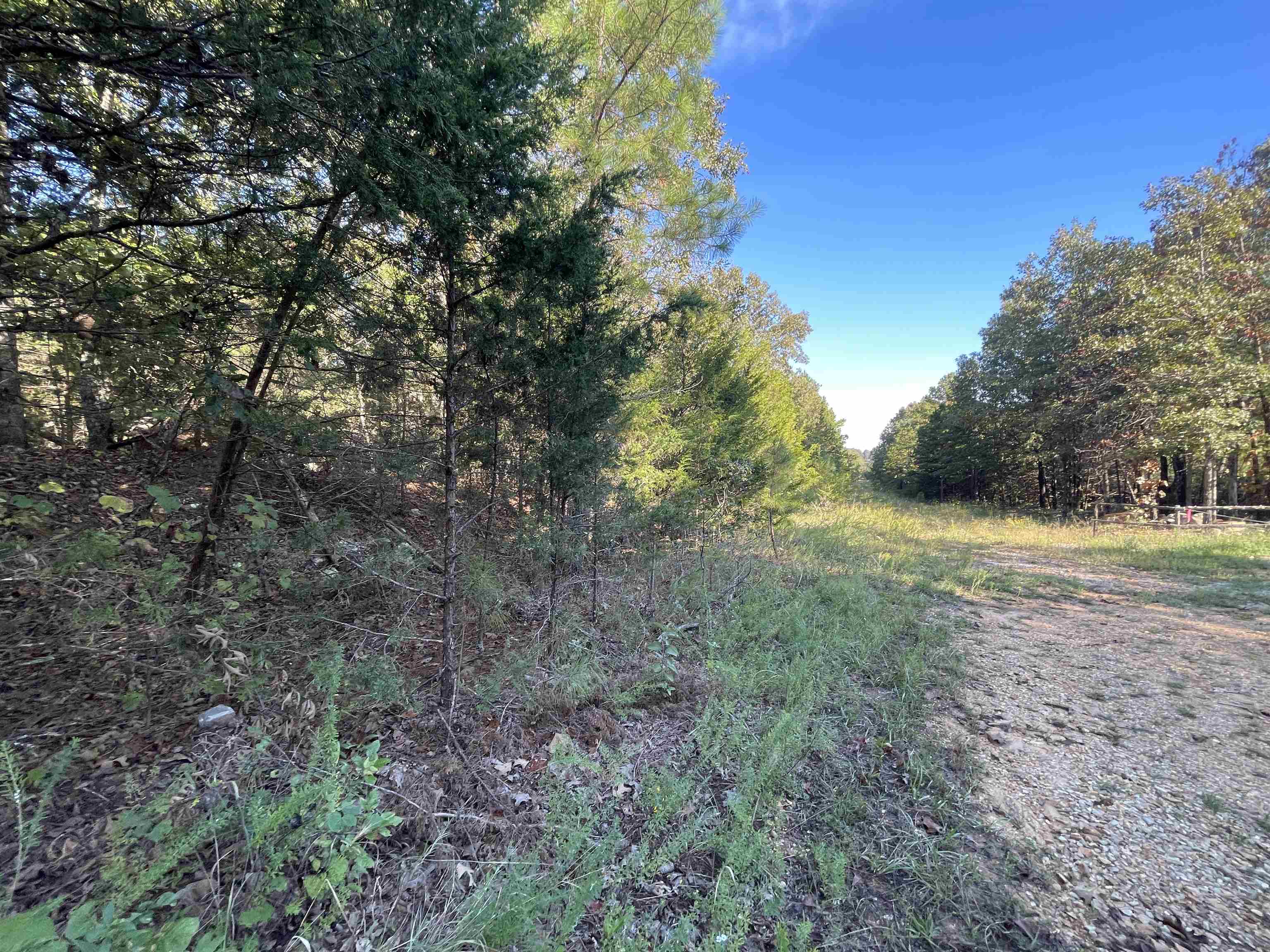 0 Piney Ridge  Glencoe, AR