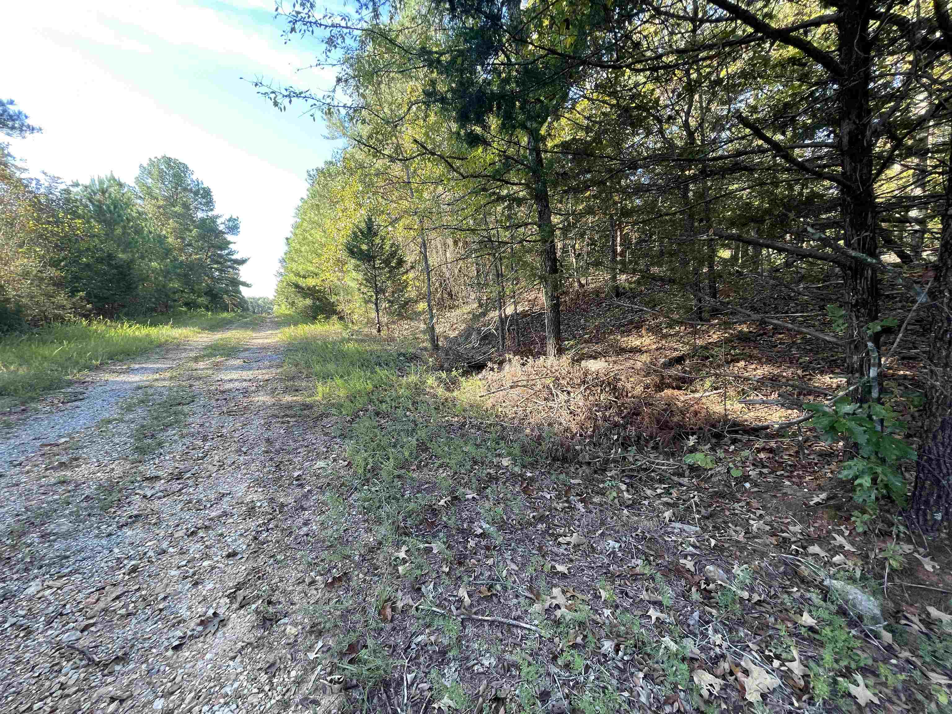 0 Piney Ridge  Glencoe, AR