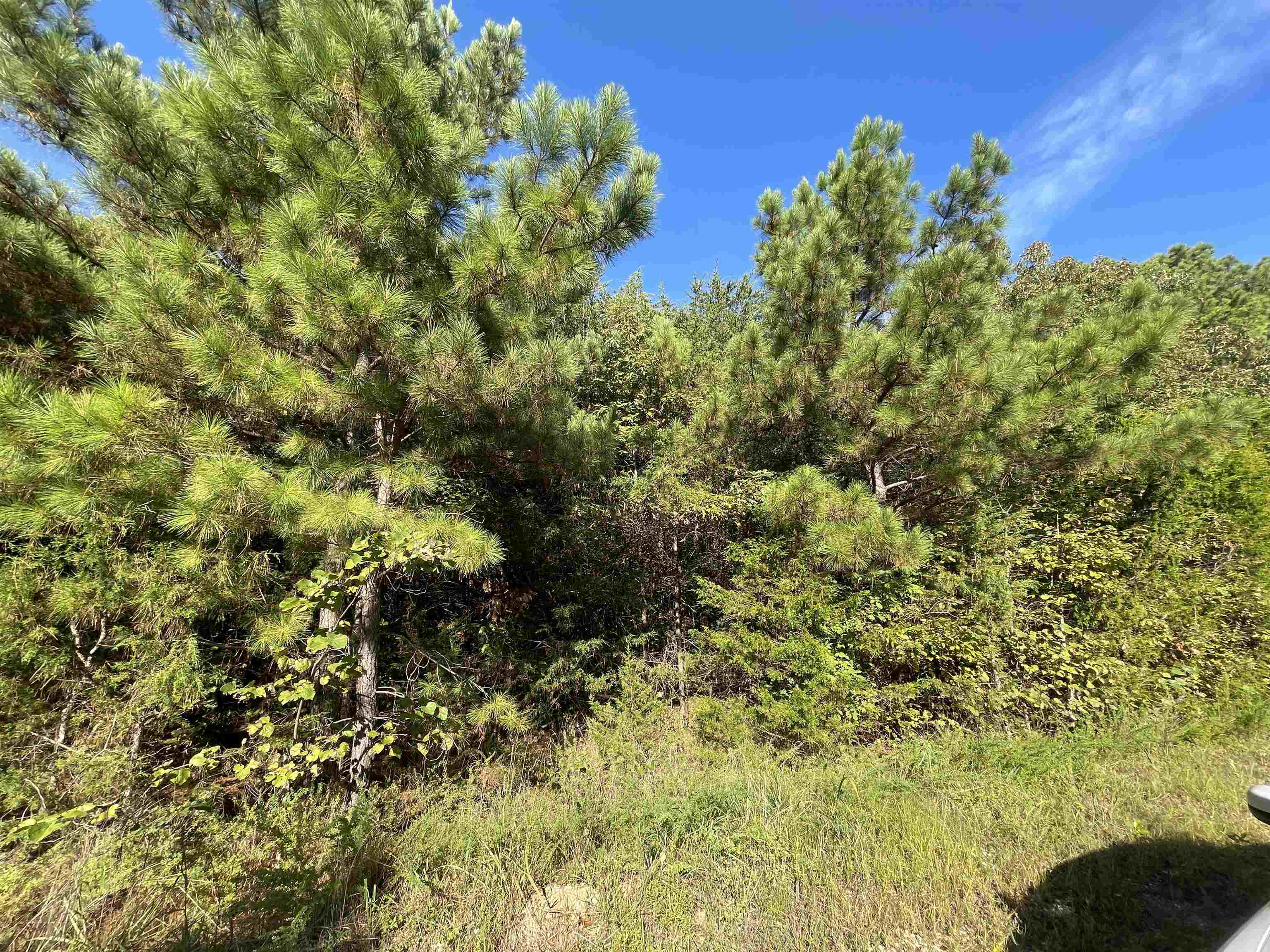 0 Piney Ridge  Glencoe, AR