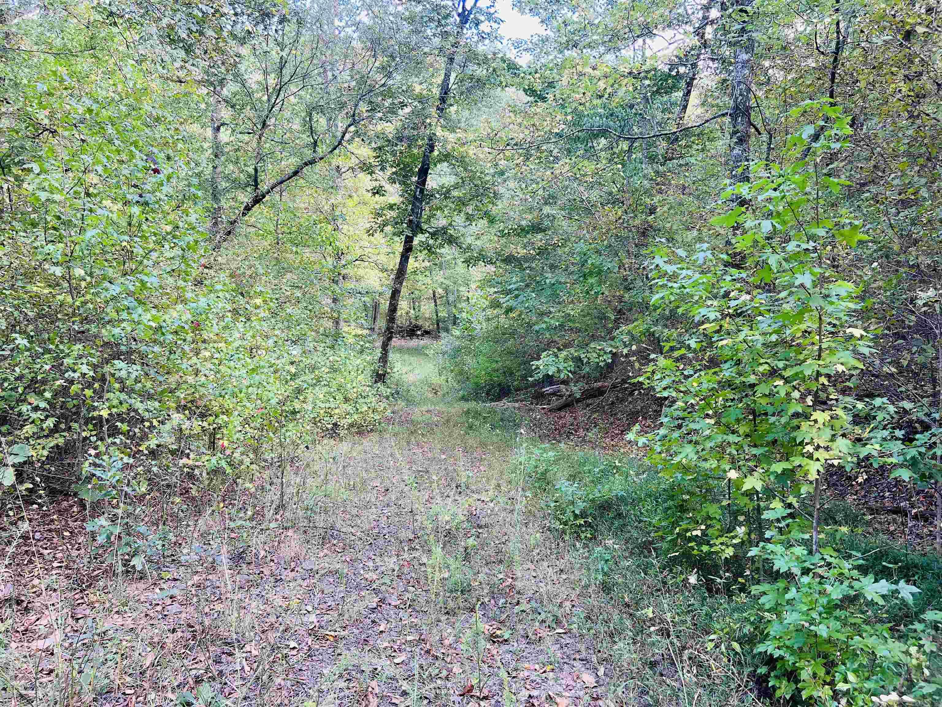 17640 S. Highway 27  Marshall, AR