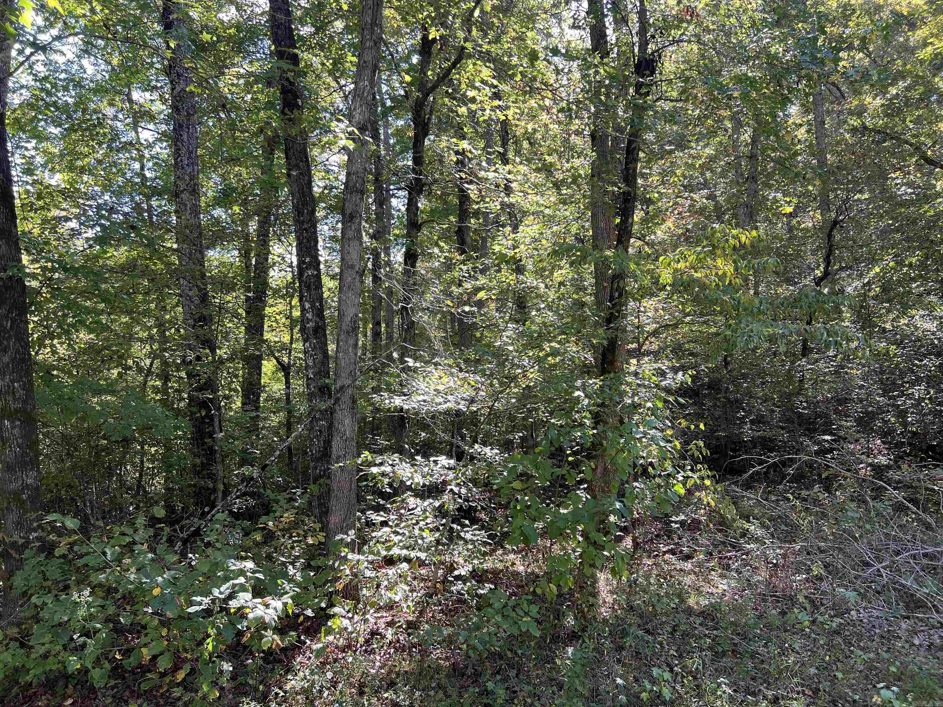 17640 S. Highway 27  Marshall, AR