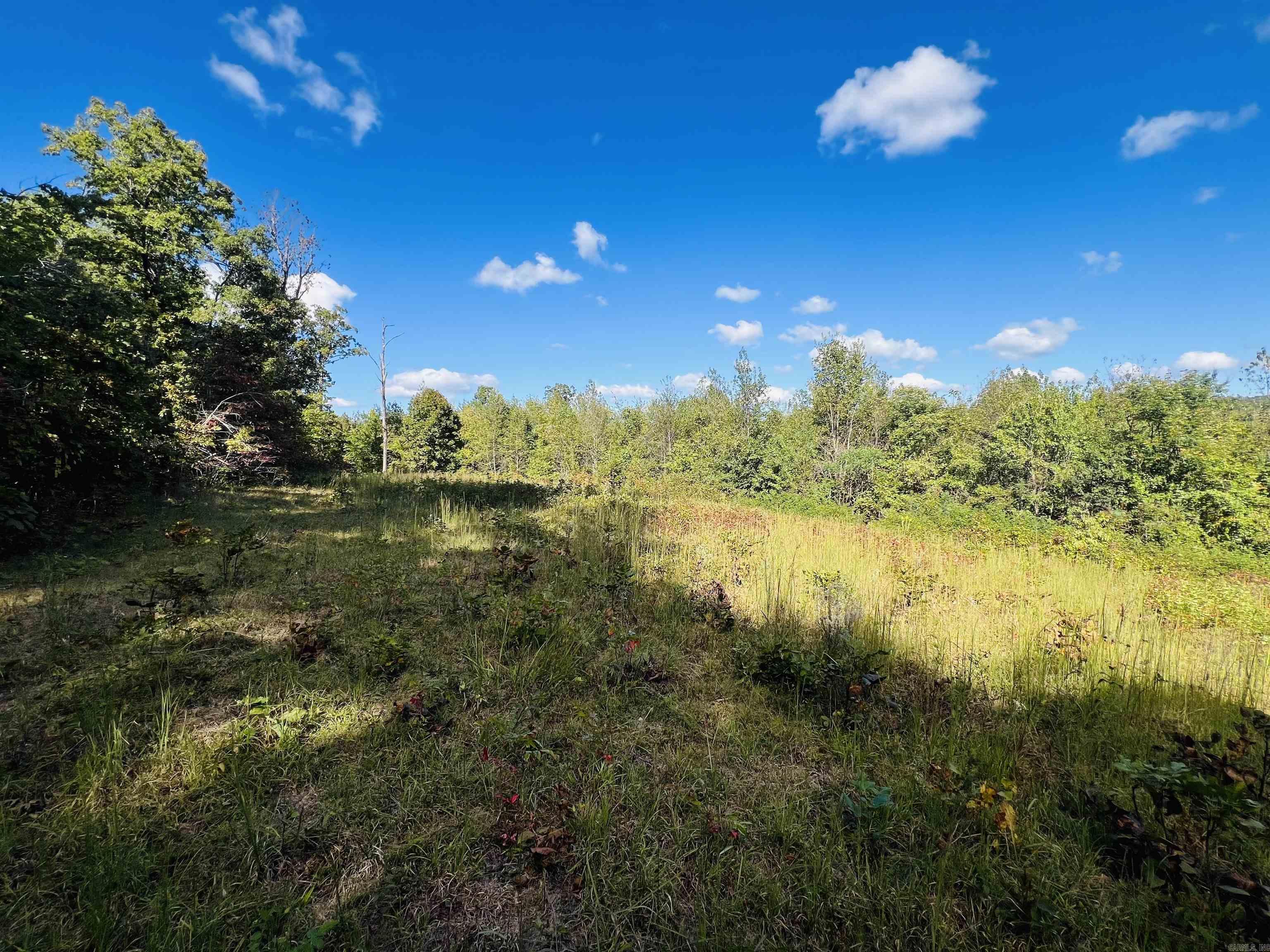 17640 S. Highway 27  Marshall, AR