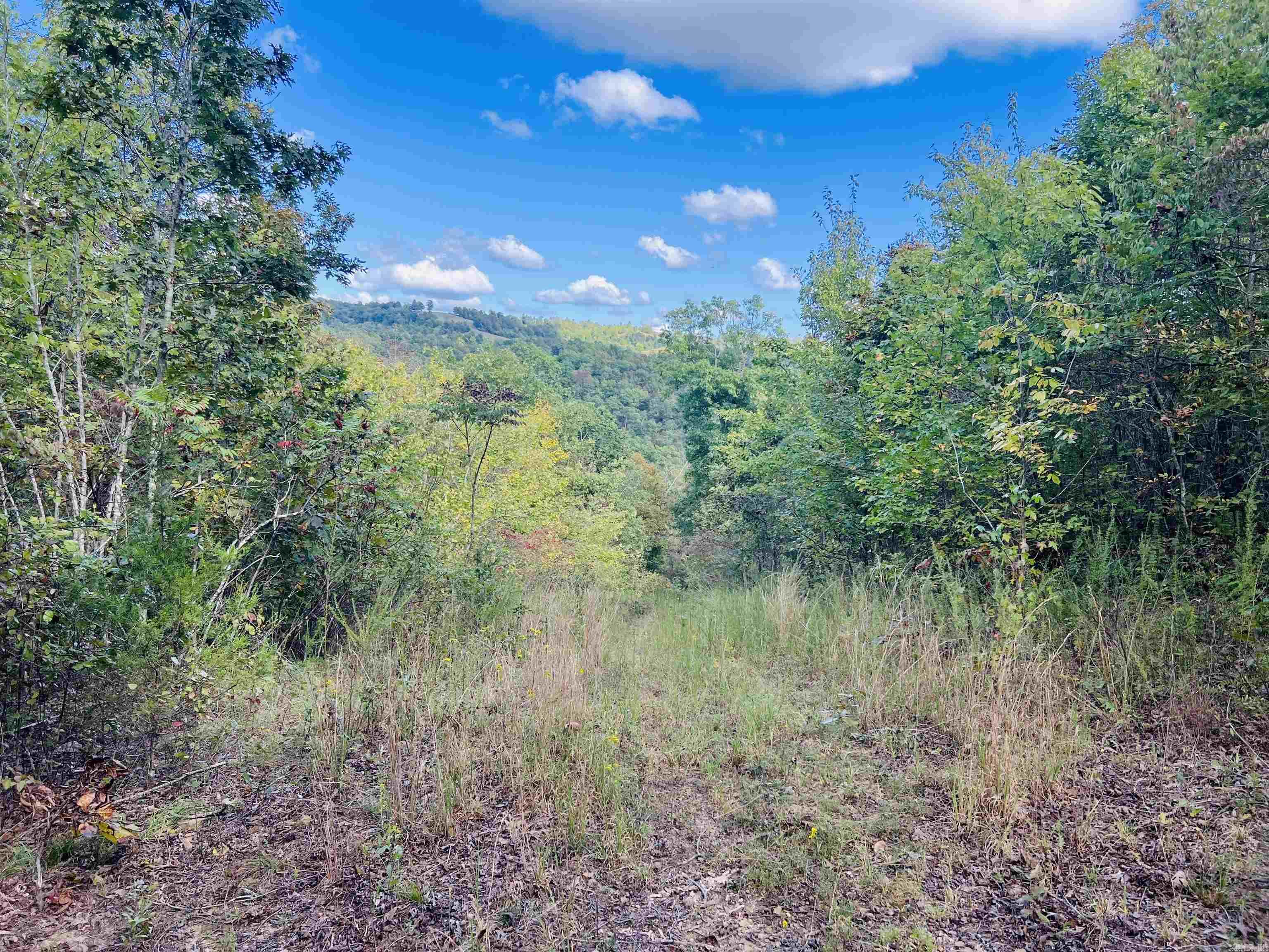 17640 S. Highway 27  Marshall, AR
