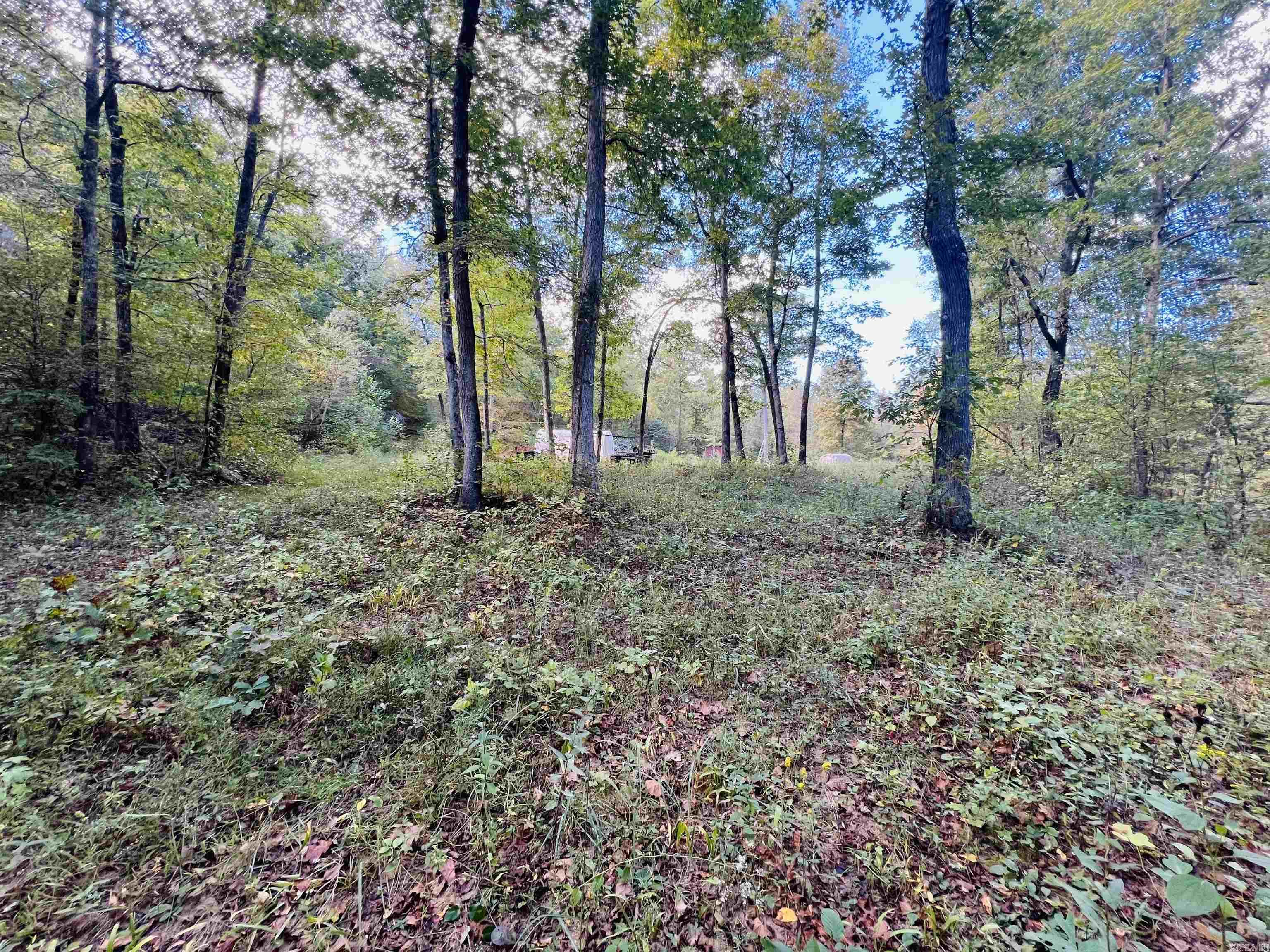 17640 S. Highway 27  Marshall, AR