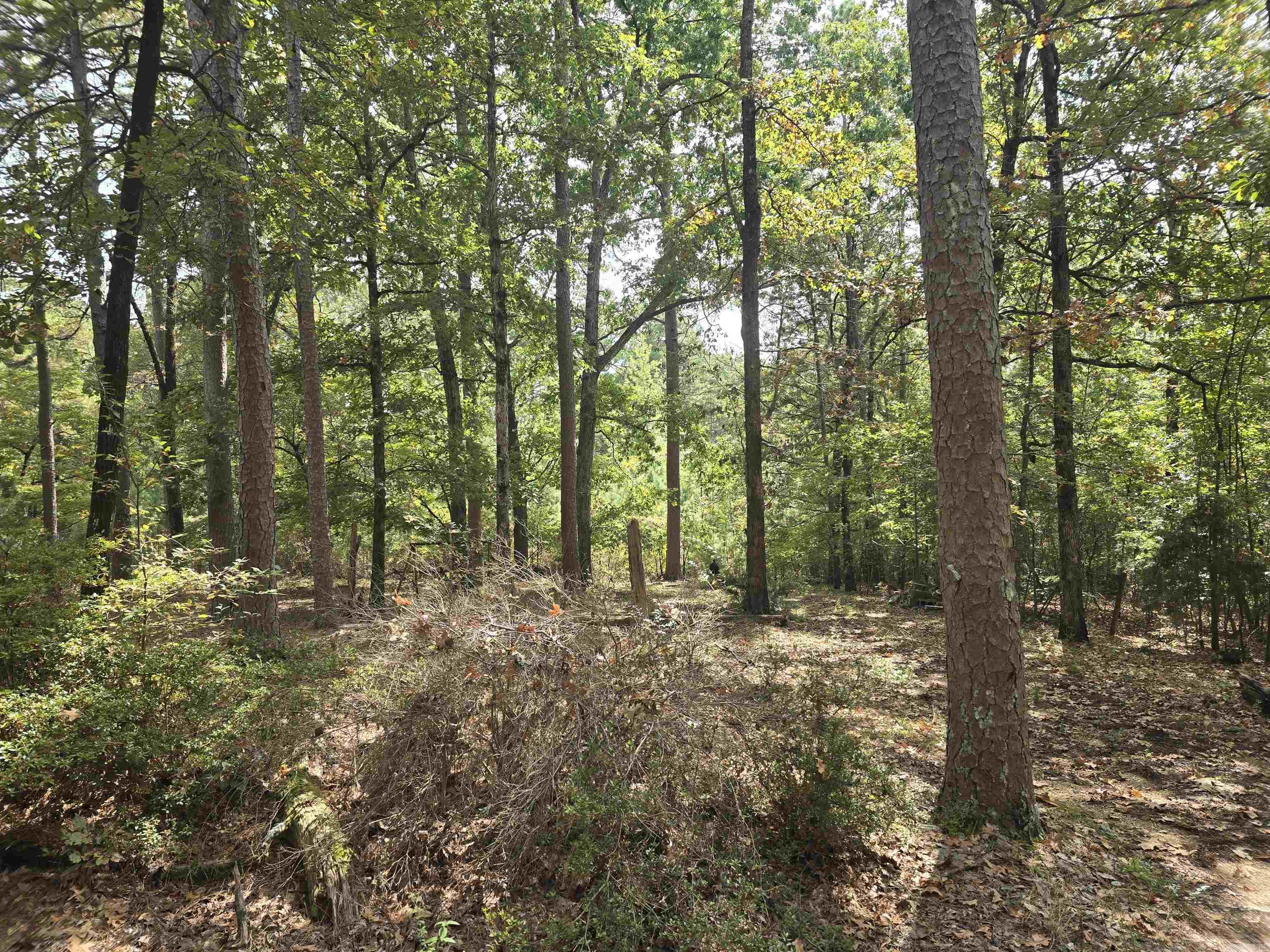 357 CR 790  Brookland, AR