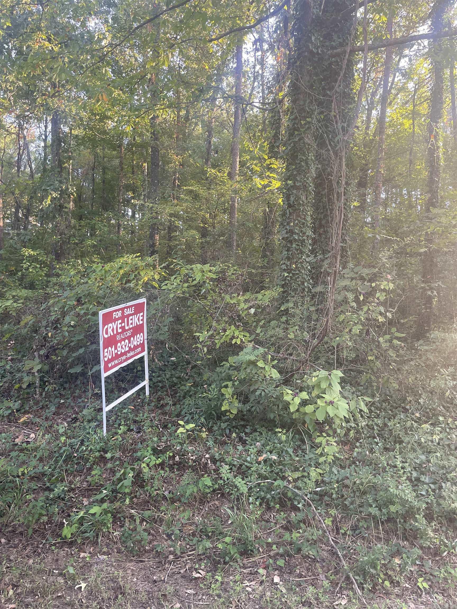  Lot 9,10,11,28 Ridge Rd  Perryville, AR