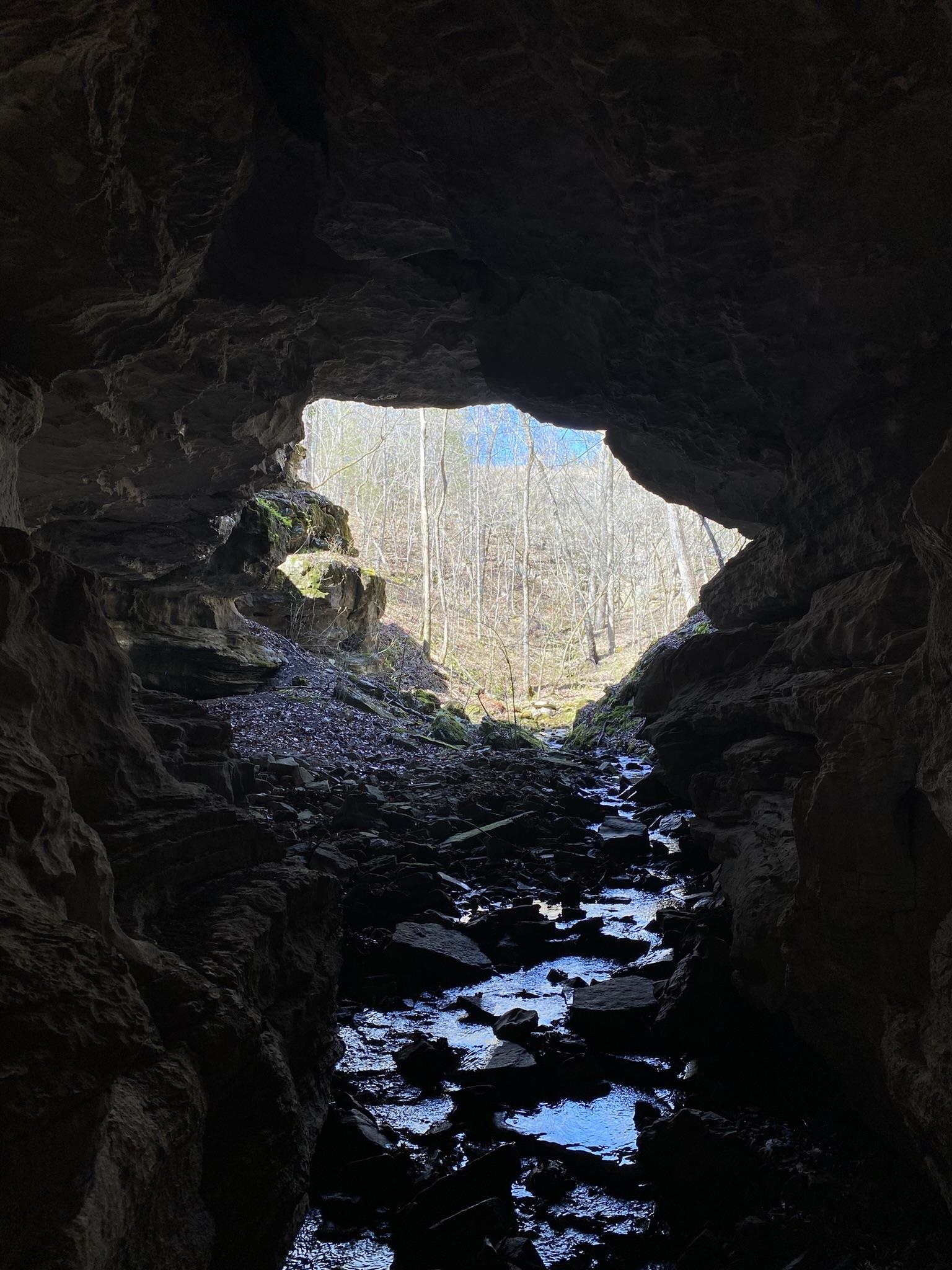 702 Old Dolph Road Calico Rock, AR 72519