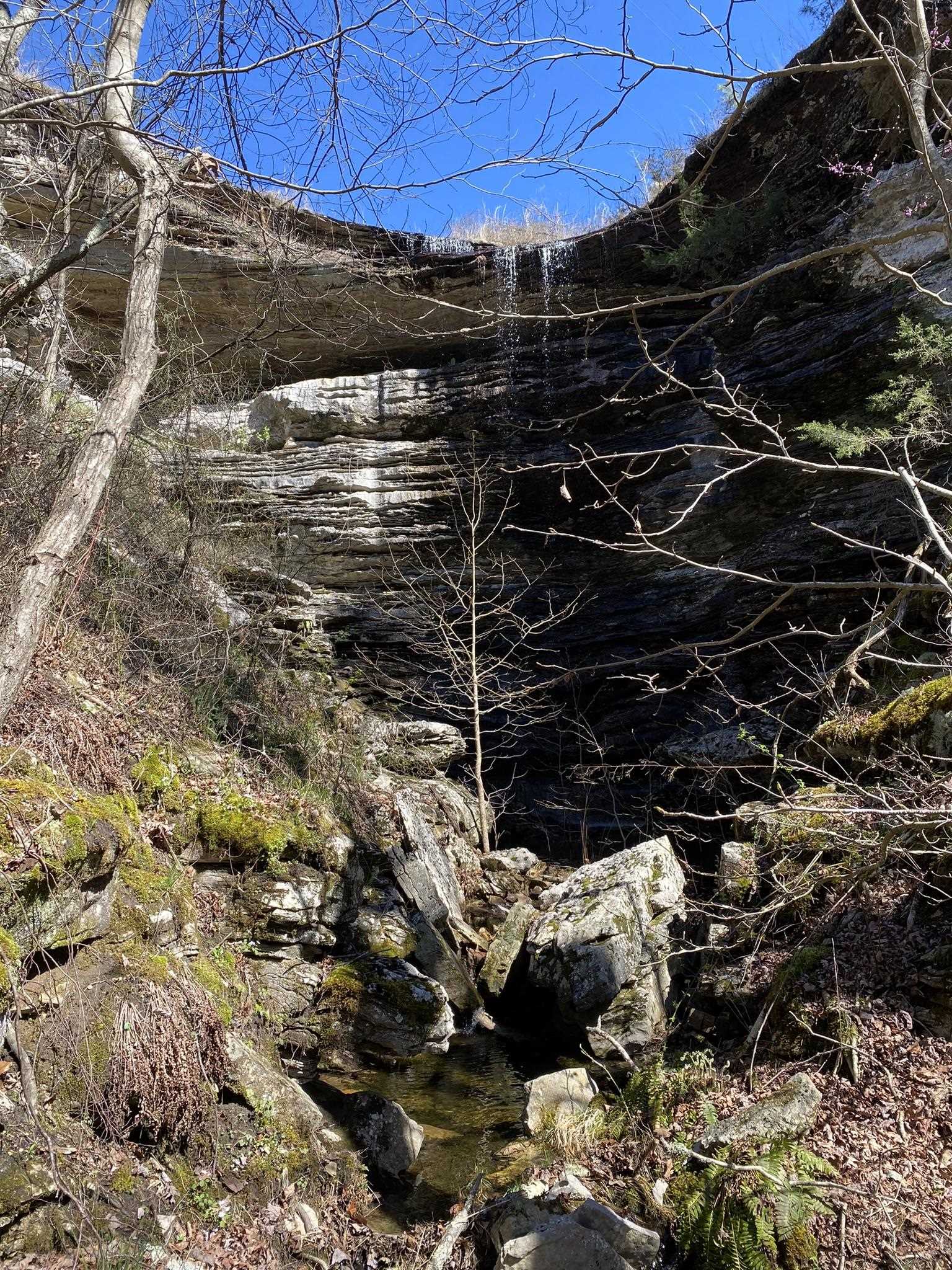 702 Old Dolph Road Calico Rock, AR 72519