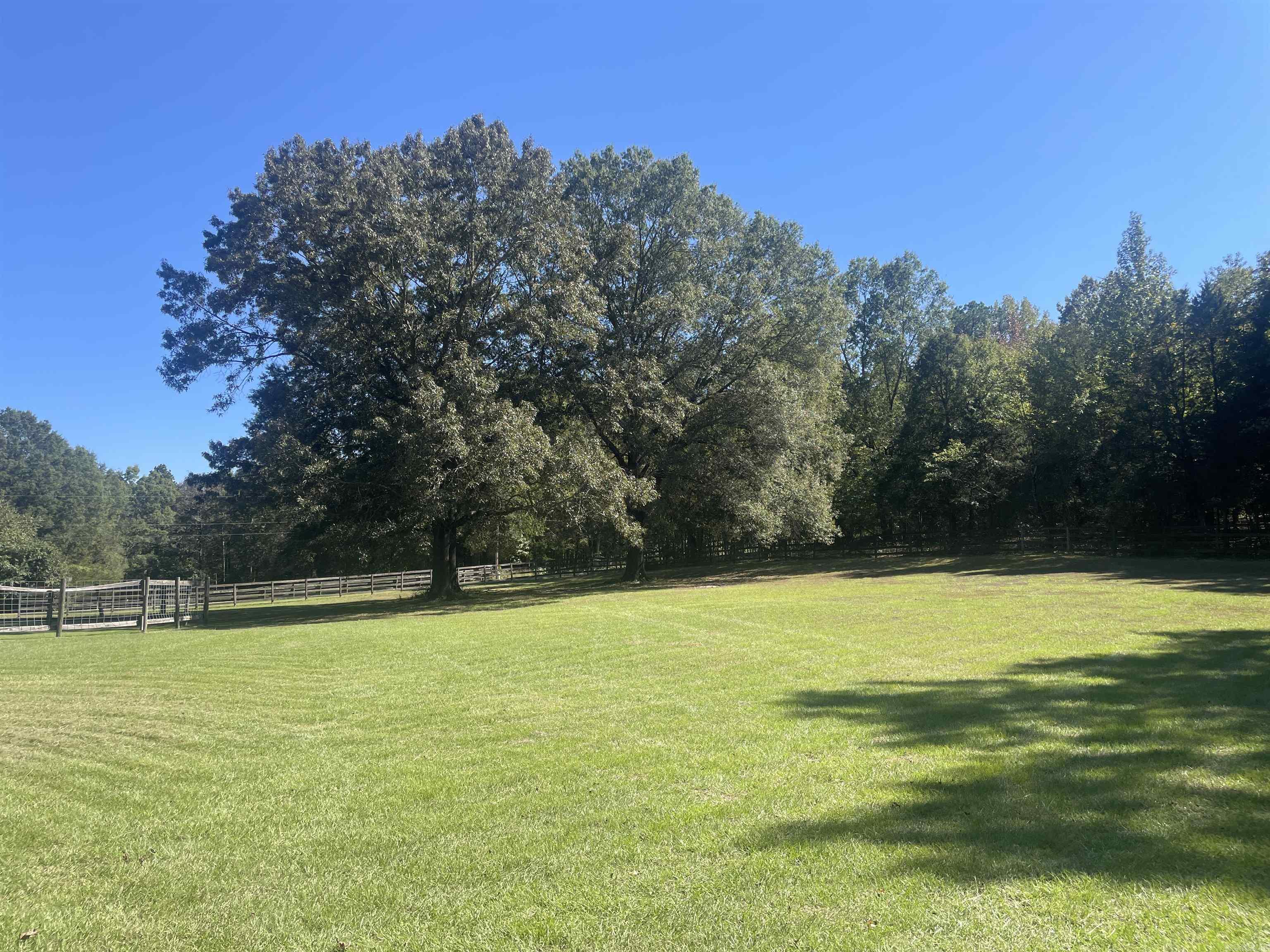 40 Woodruff  Conway, AR