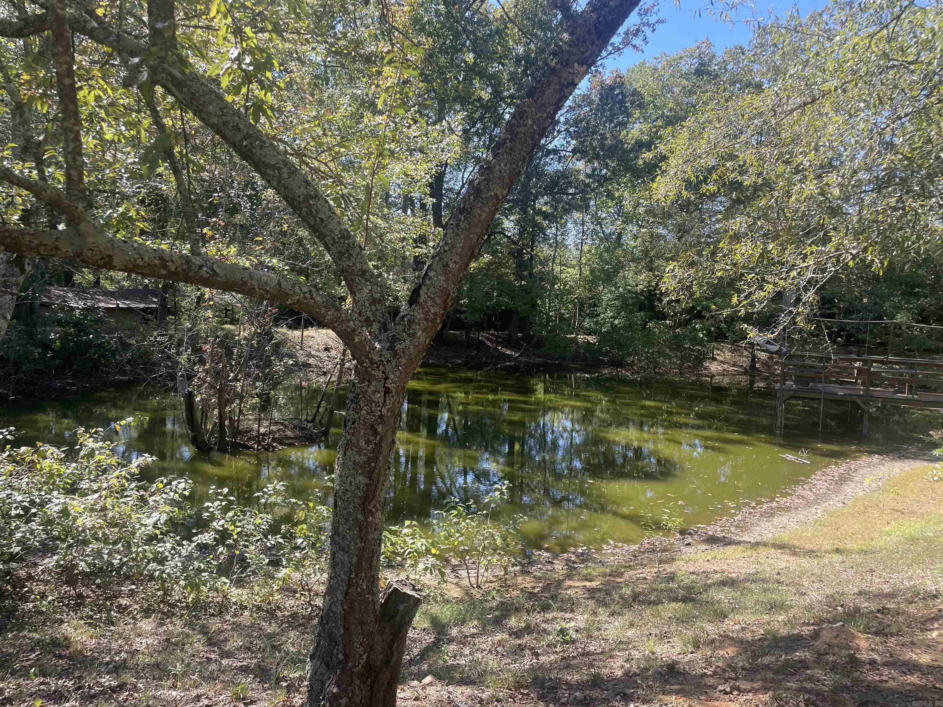 40 Woodruff  Conway, AR