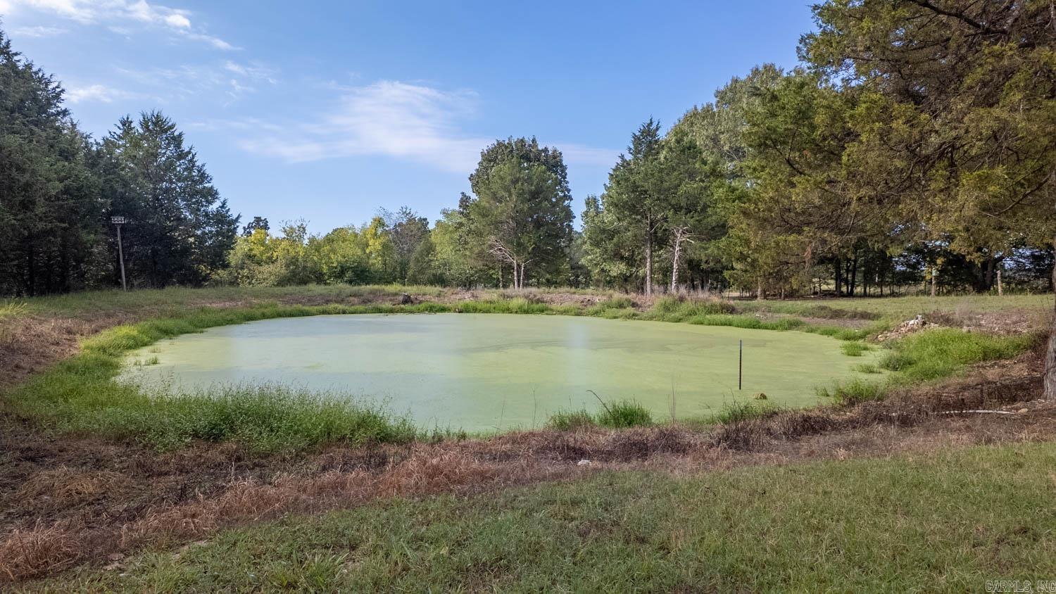 902 Honeytree Lane  Camp, AR