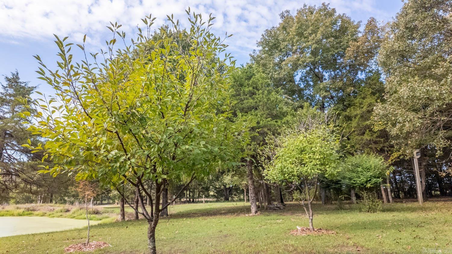 902 Honeytree Lane  Camp, AR