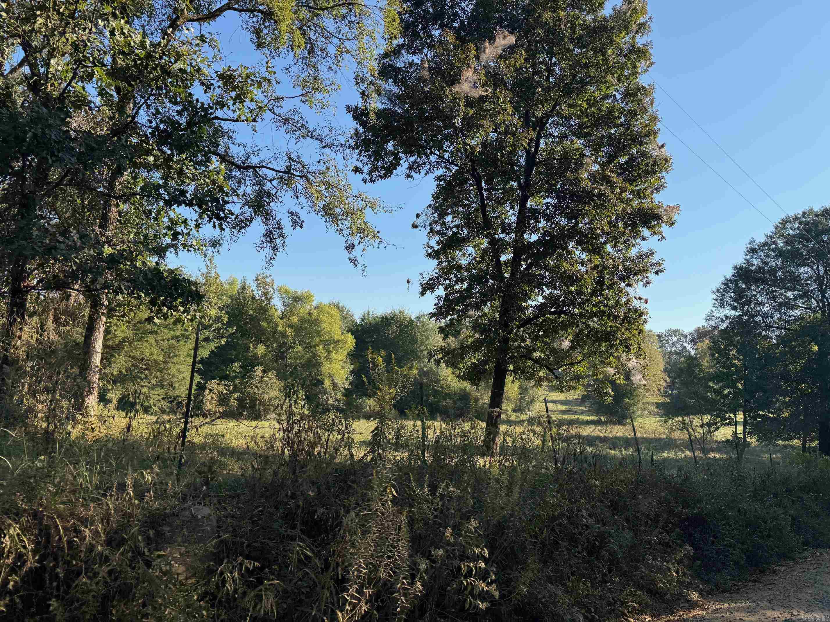 TBD Polk Road 19  Cove, AR