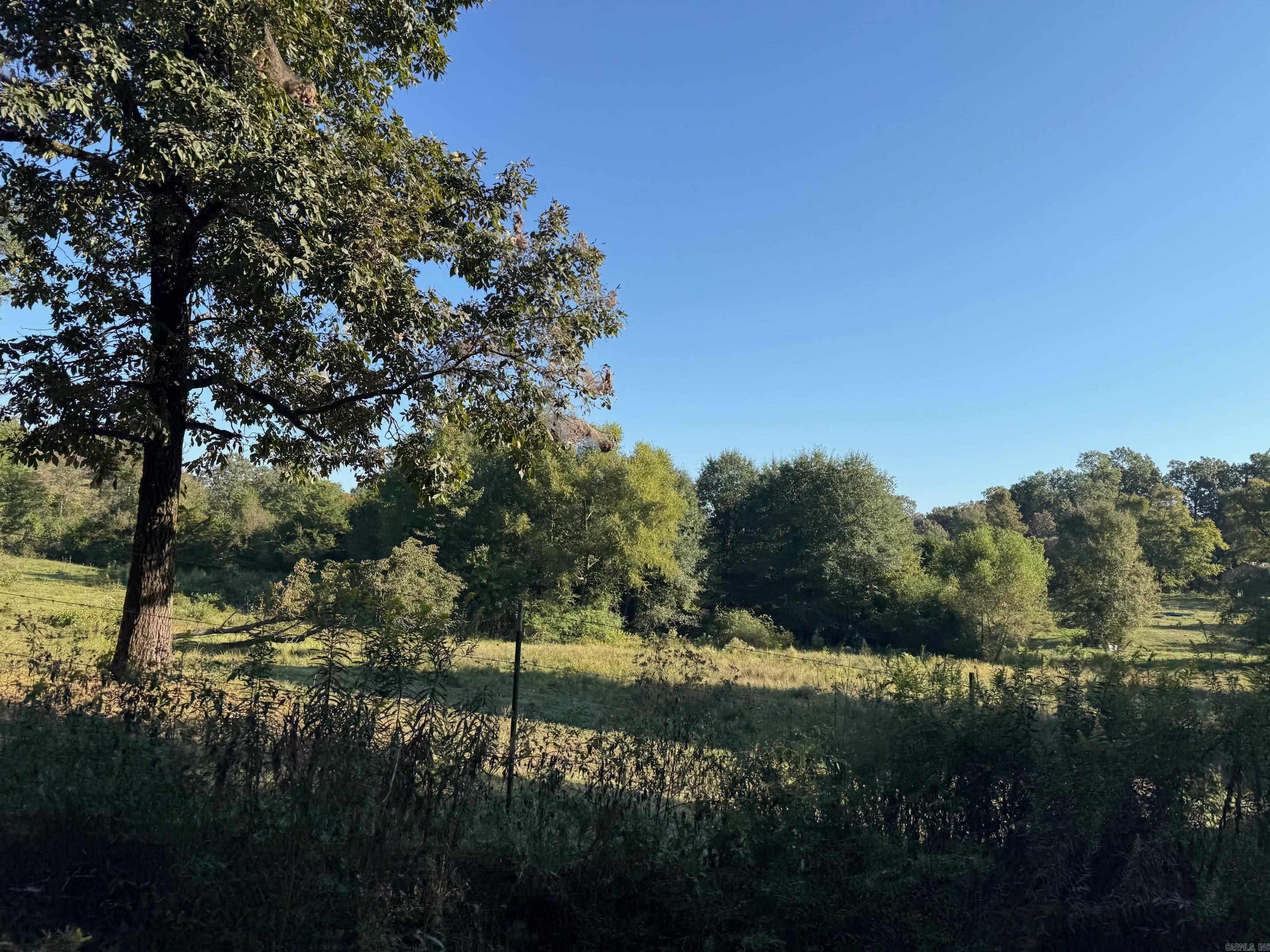 TBD Polk Road 19  Cove, AR