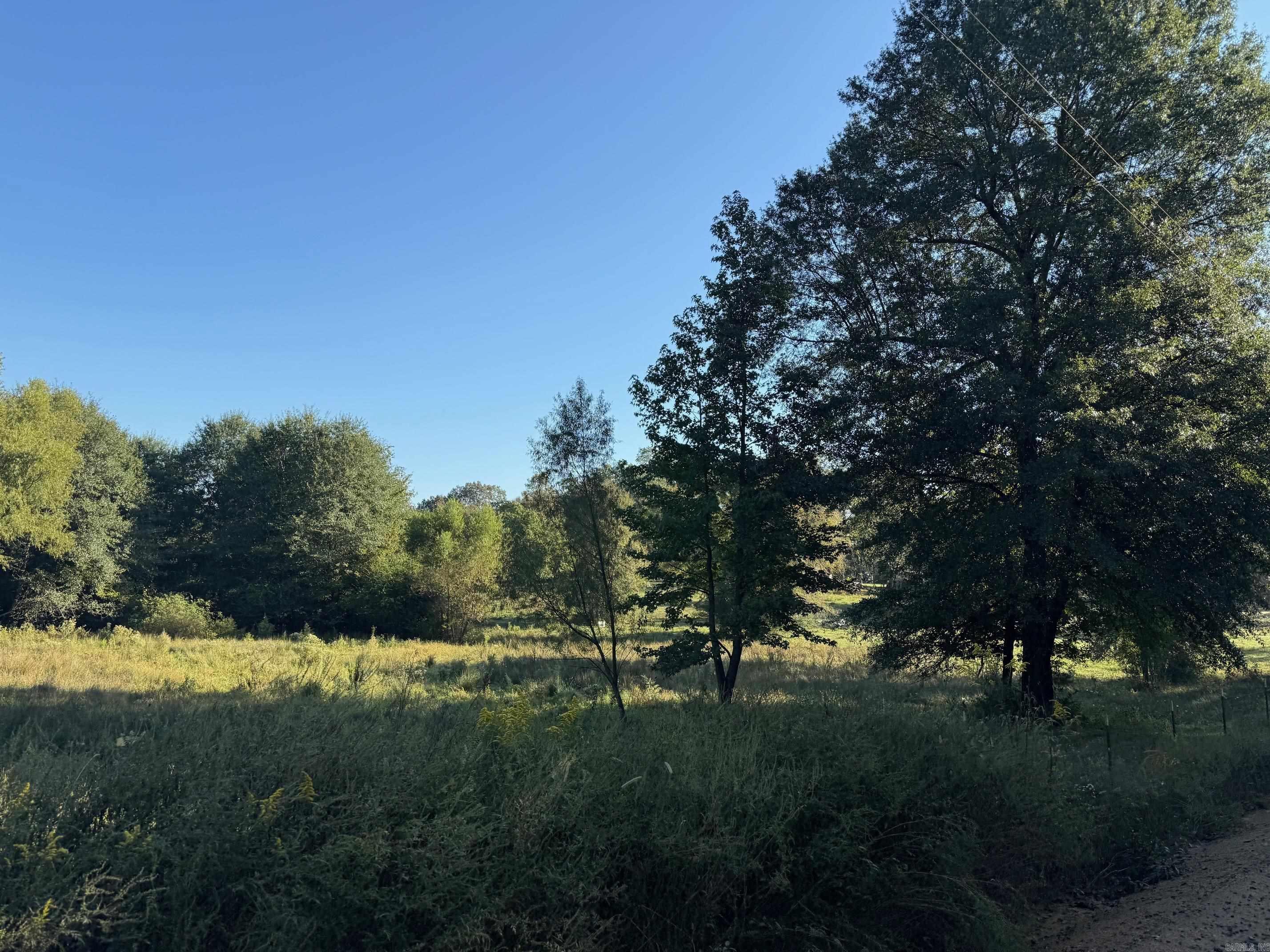 TBD Polk Road 19  Cove, AR