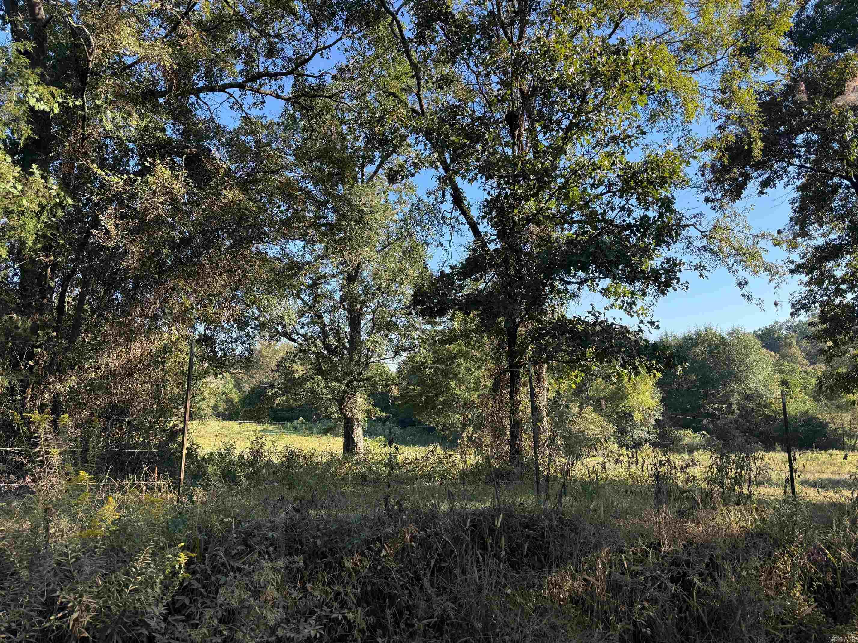 TBD Polk Road 19  Cove, AR