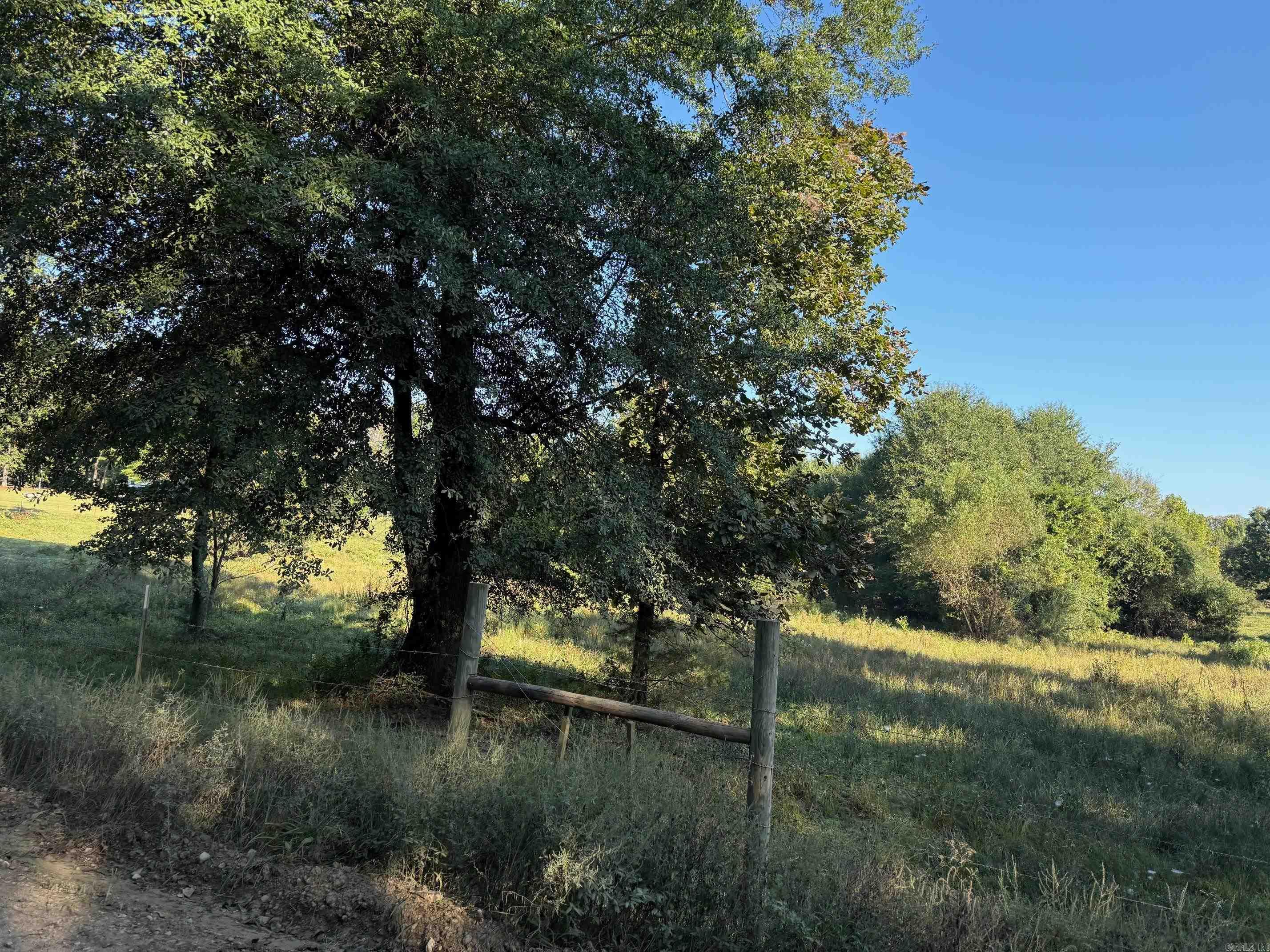 TBD Polk Road 19  Cove, AR